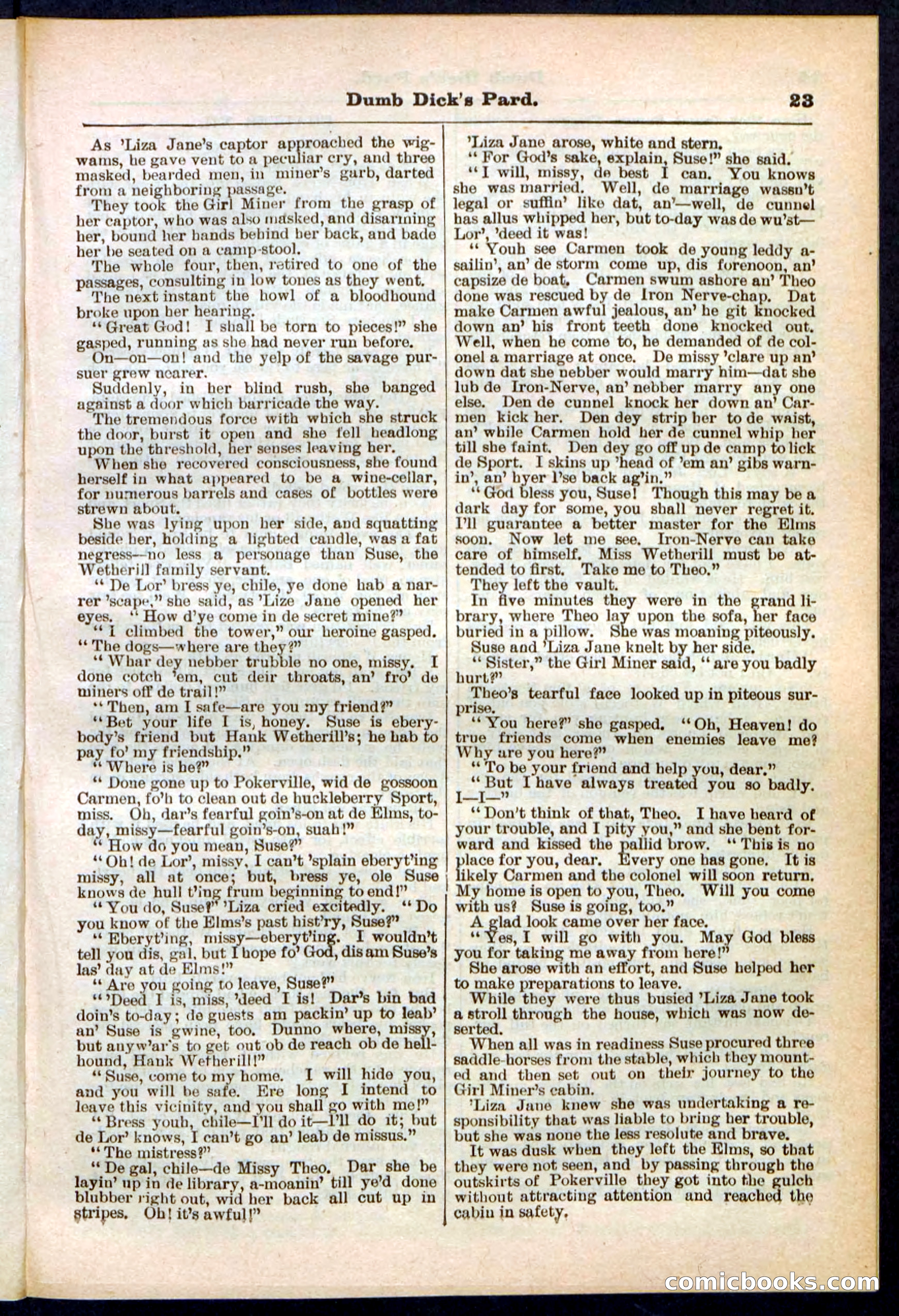 Beadle's Pocket Library No. 294 — page 23 of 32