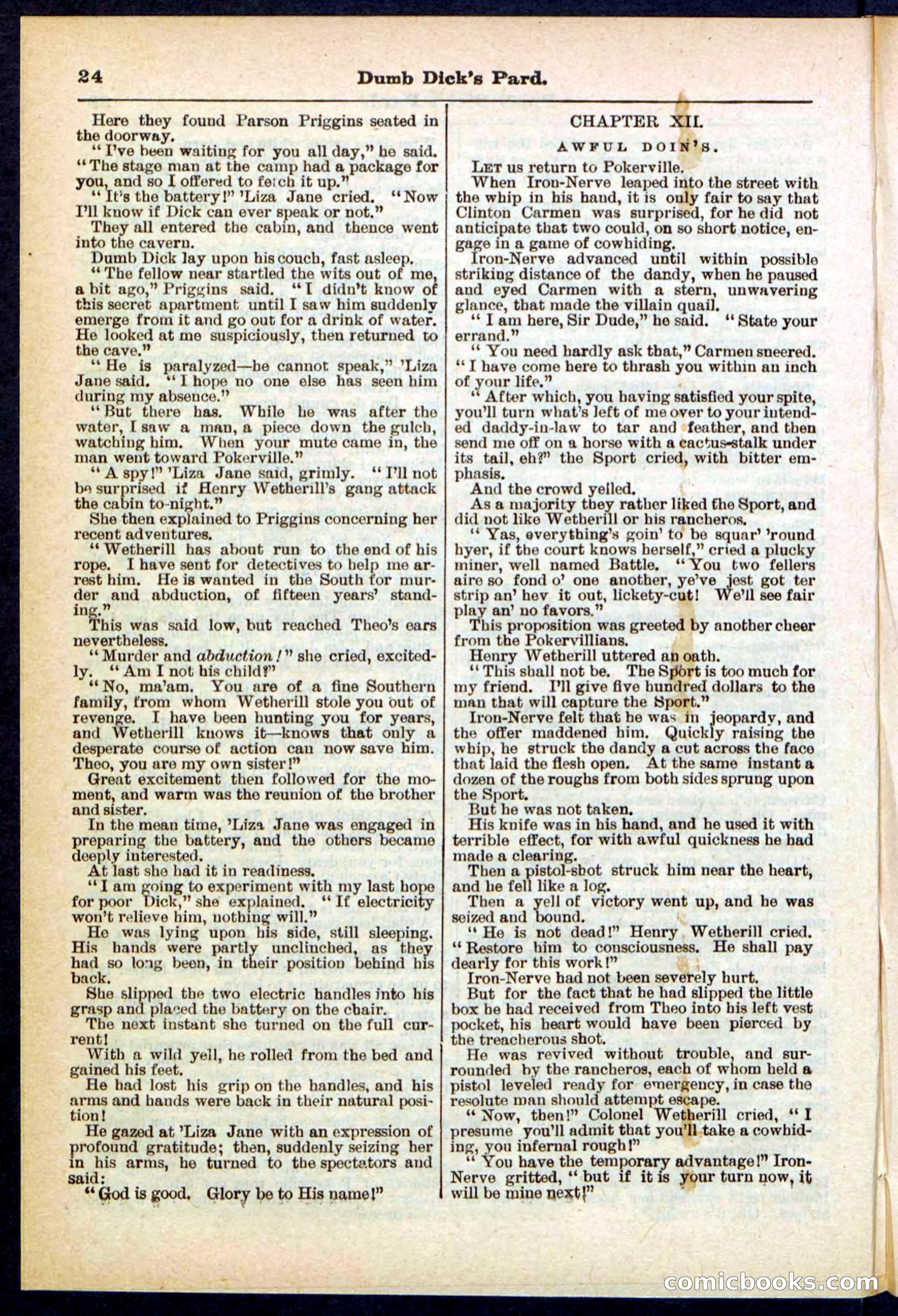 Beadle's Pocket Library No. 294 — page 24 of 32
