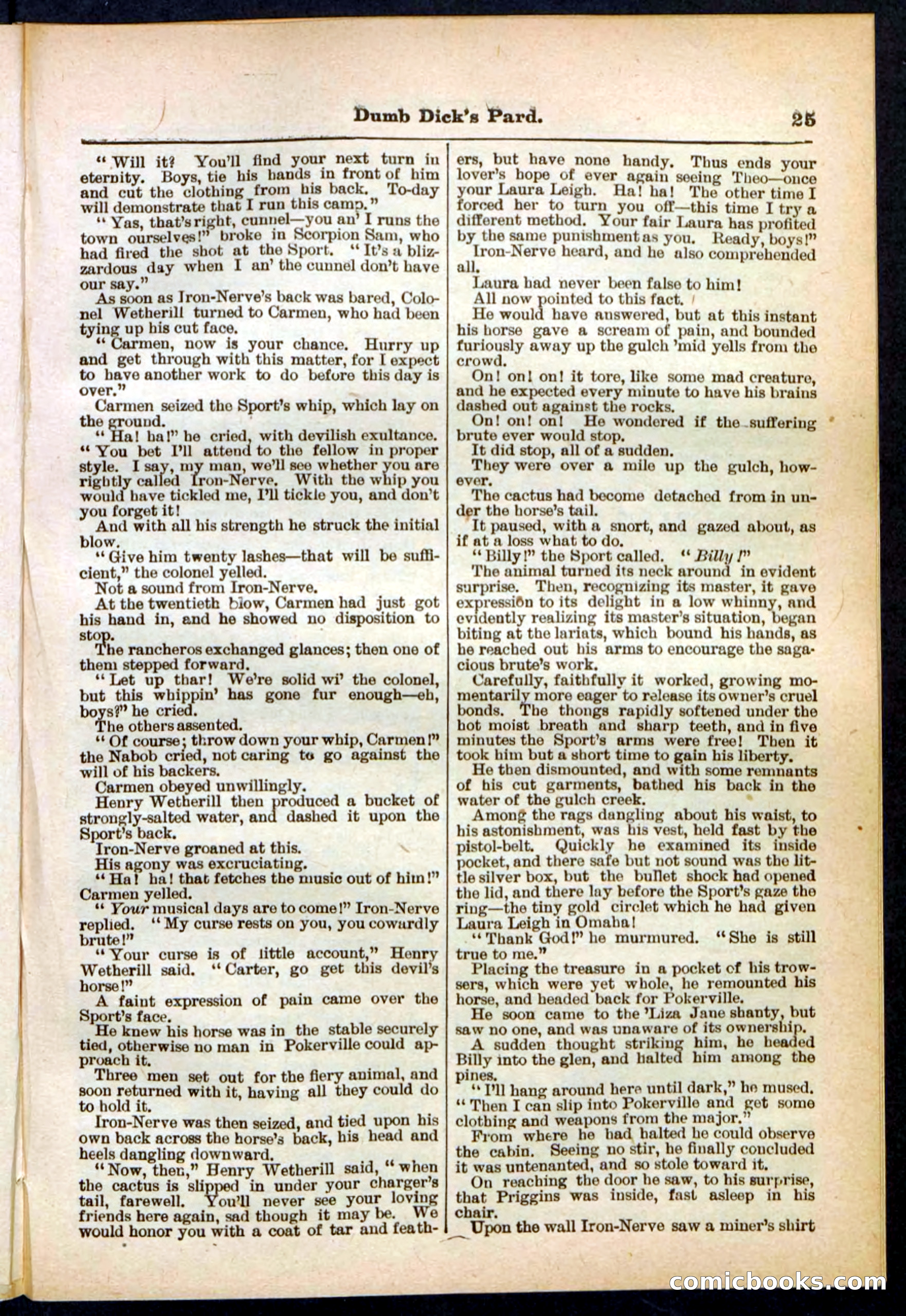 Beadle's Pocket Library No. 294 — page 25 of 32
