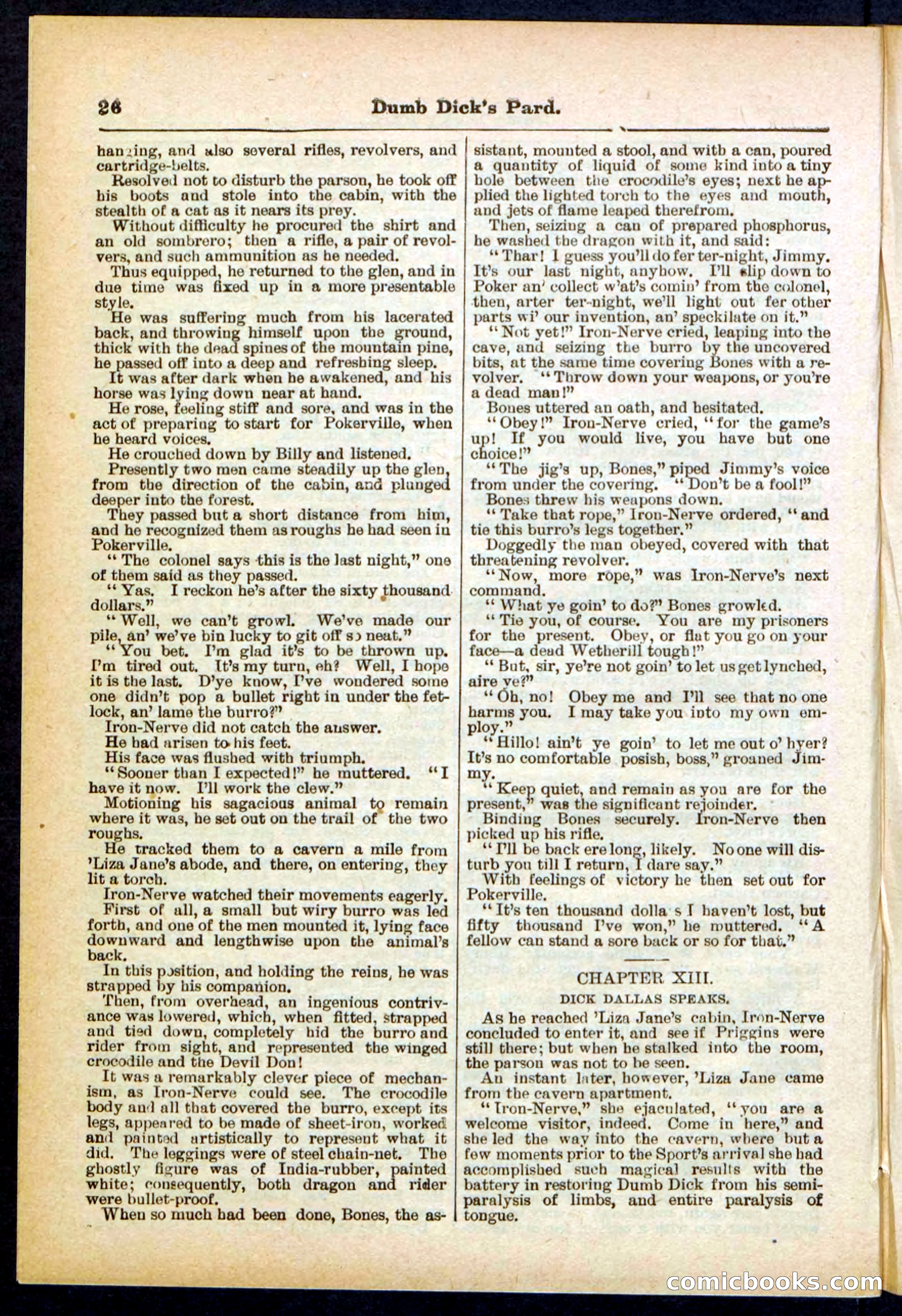 Beadle's Pocket Library No. 294 — page 26 of 32