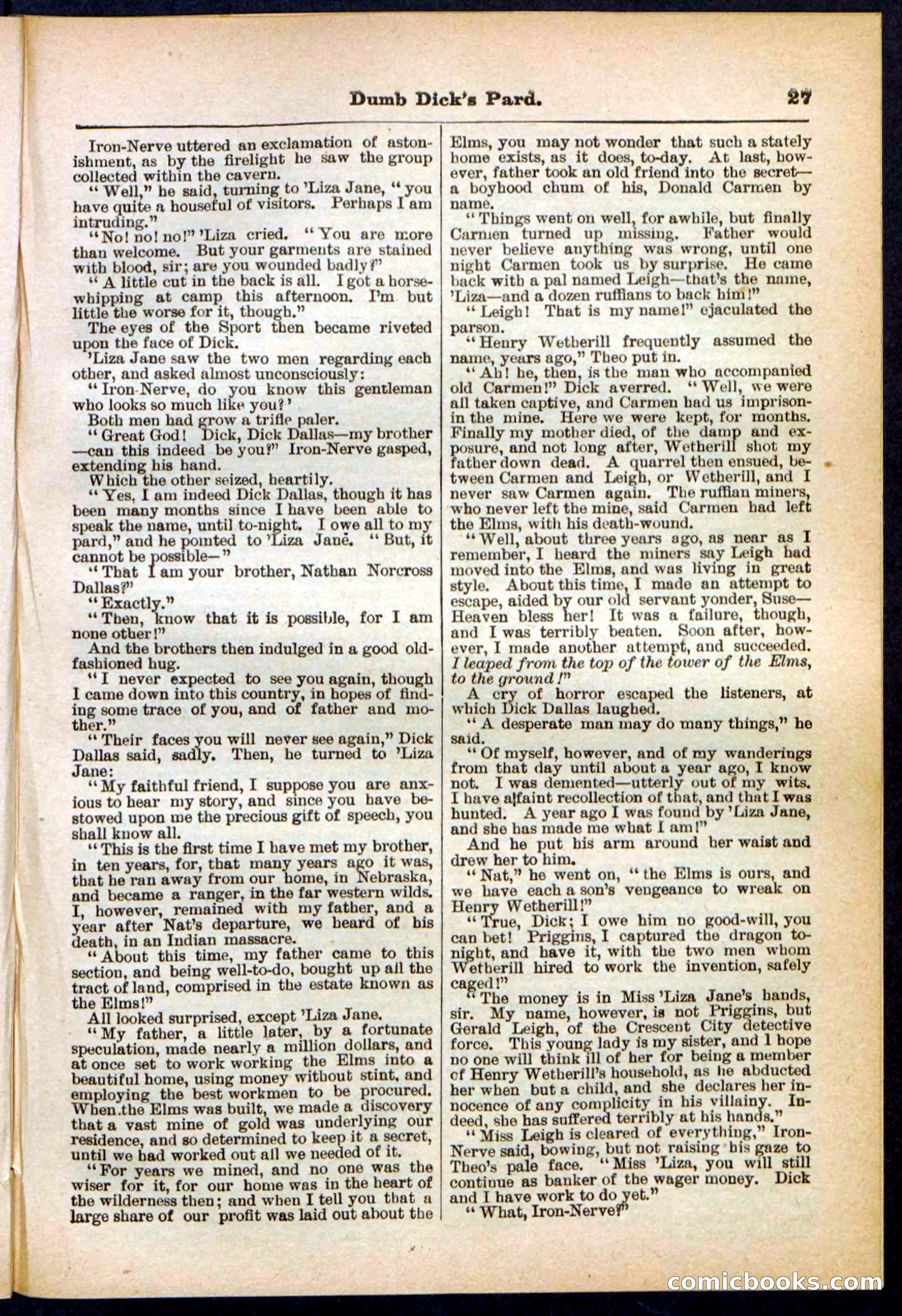 Beadle's Pocket Library No. 294 — page 27 of 32
