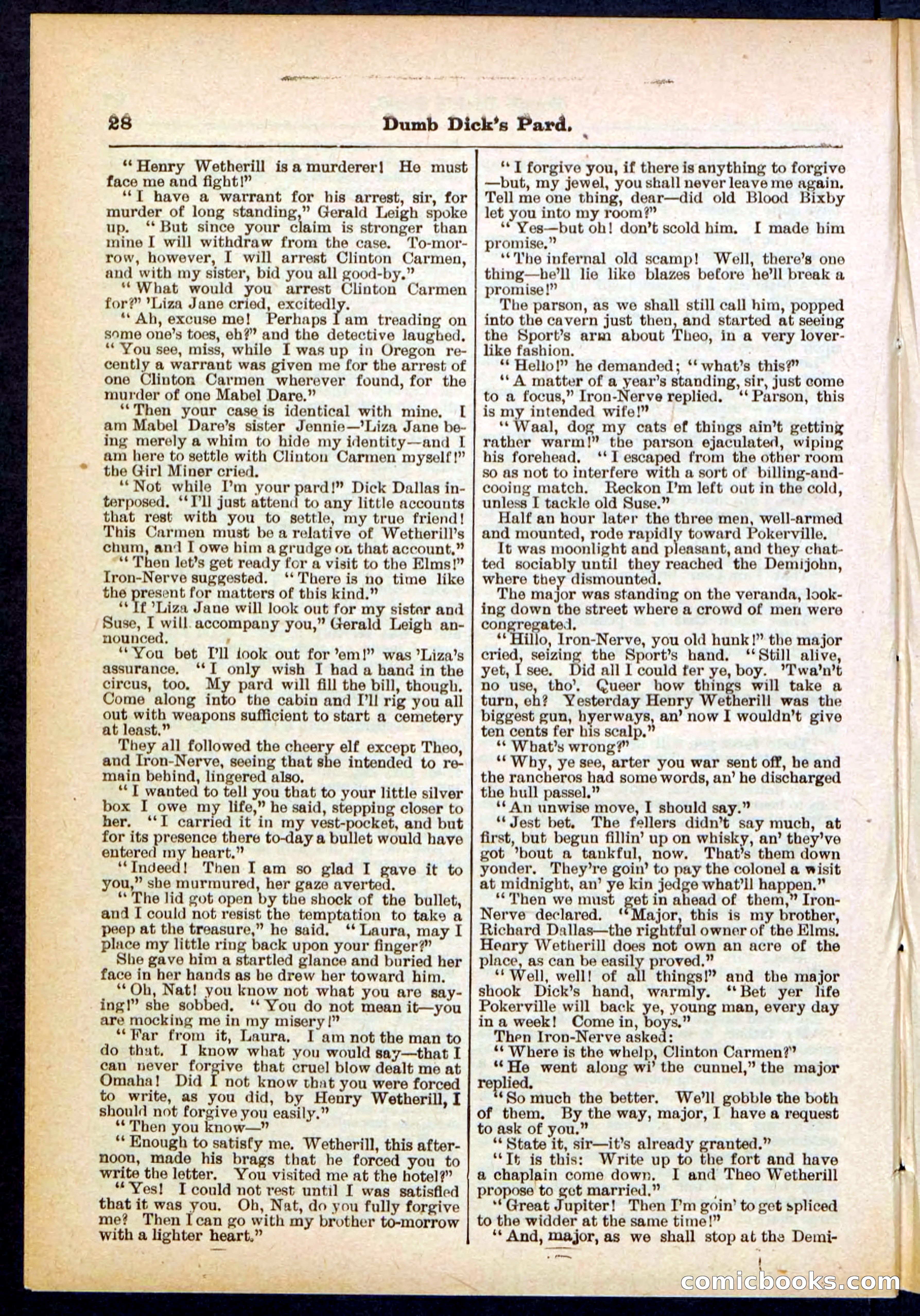 Beadle's Pocket Library No. 294 — page 28 of 32