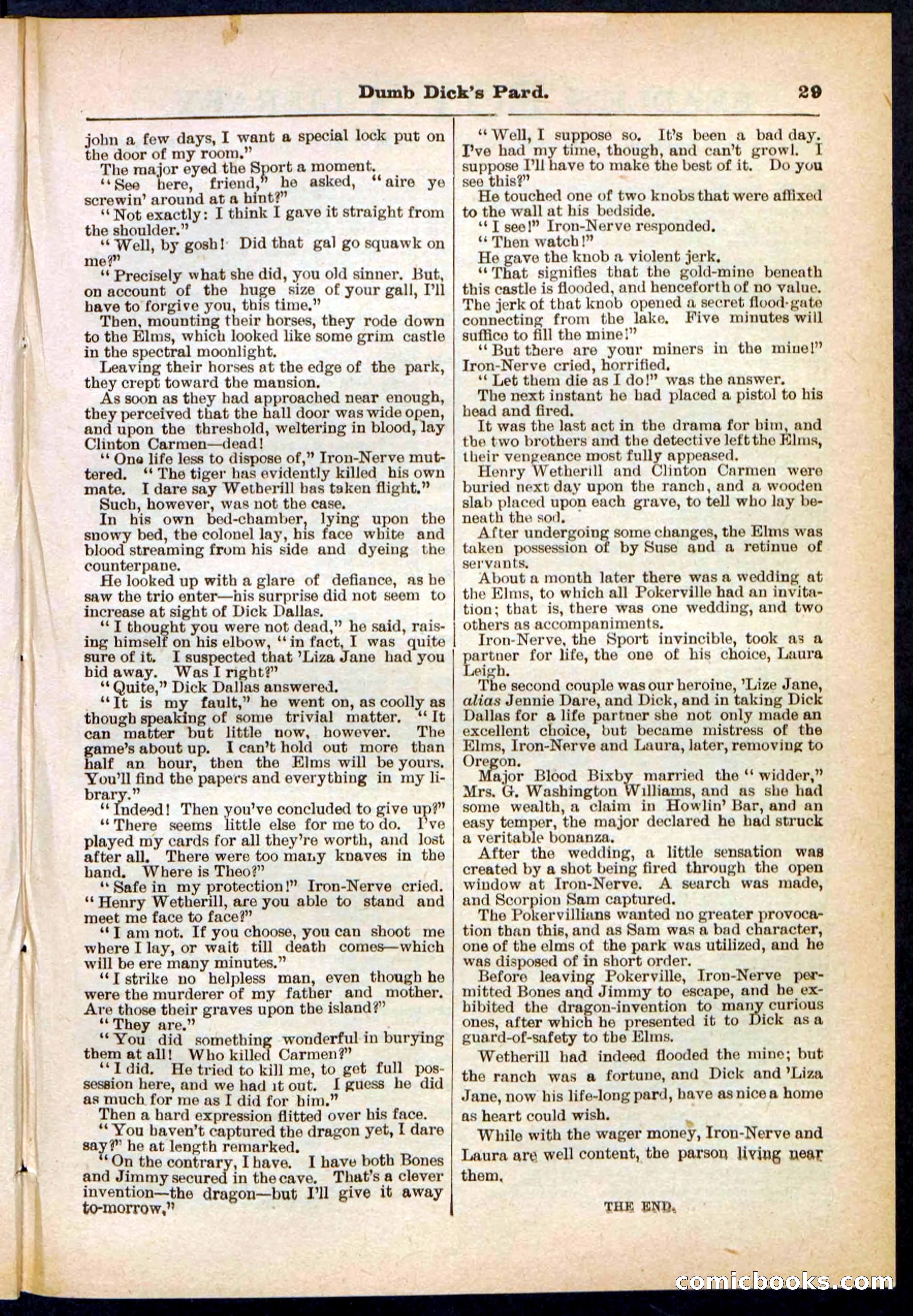 Beadle's Pocket Library No. 294 — page 29 of 32