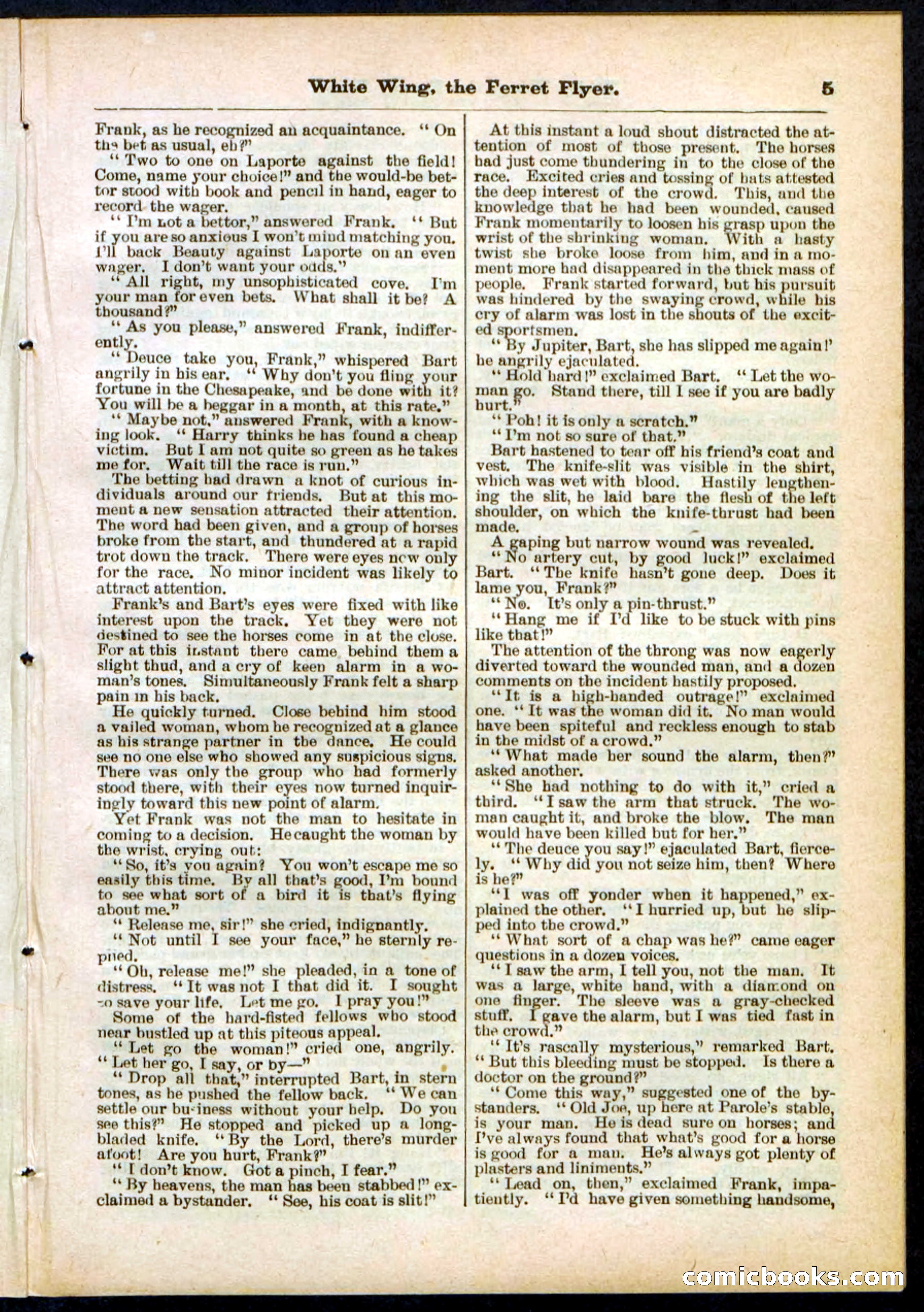 Beadle's Pocket Library No. 295 — page 5 of 32