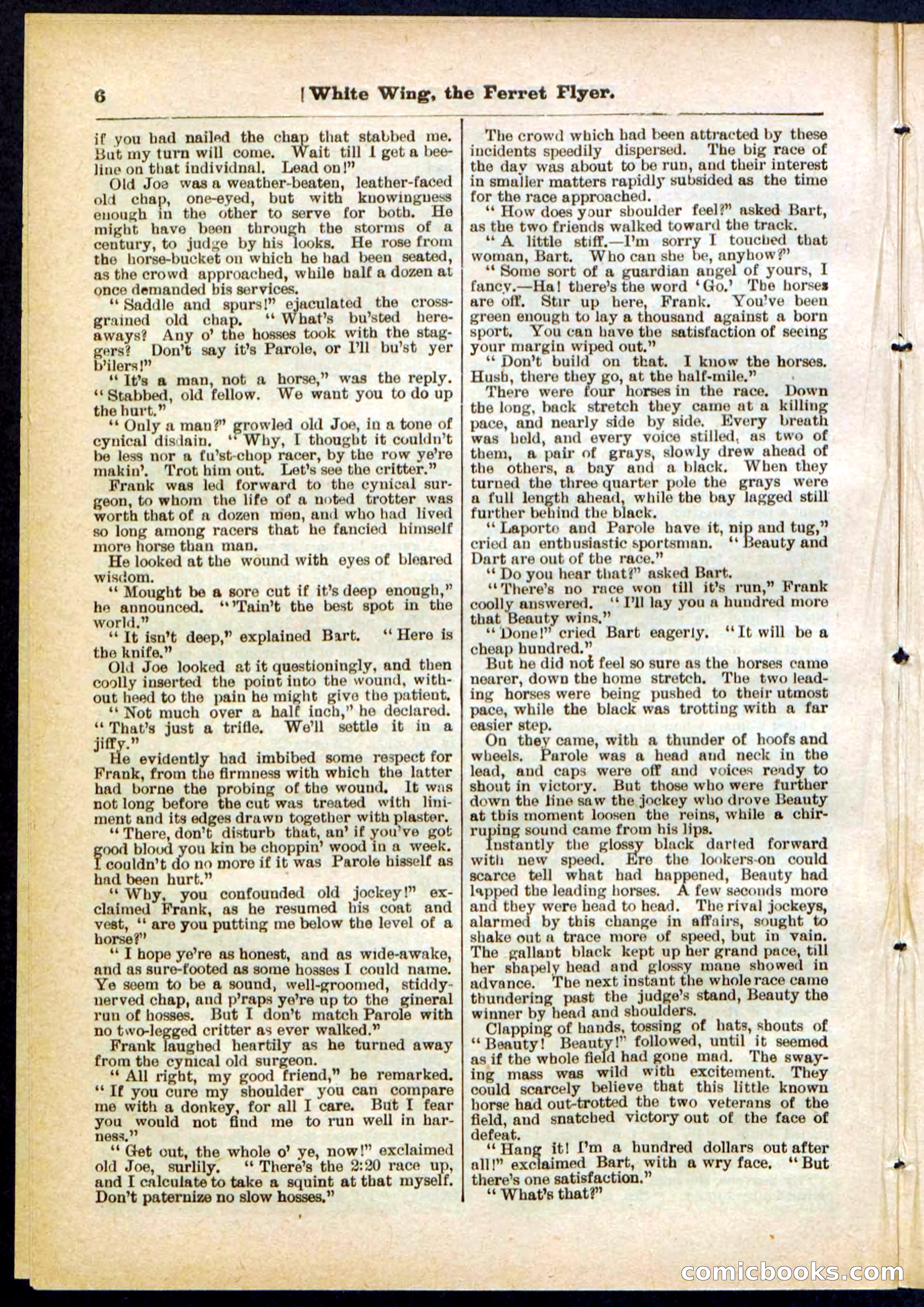 Beadle's Pocket Library No. 295 — page 6 of 32