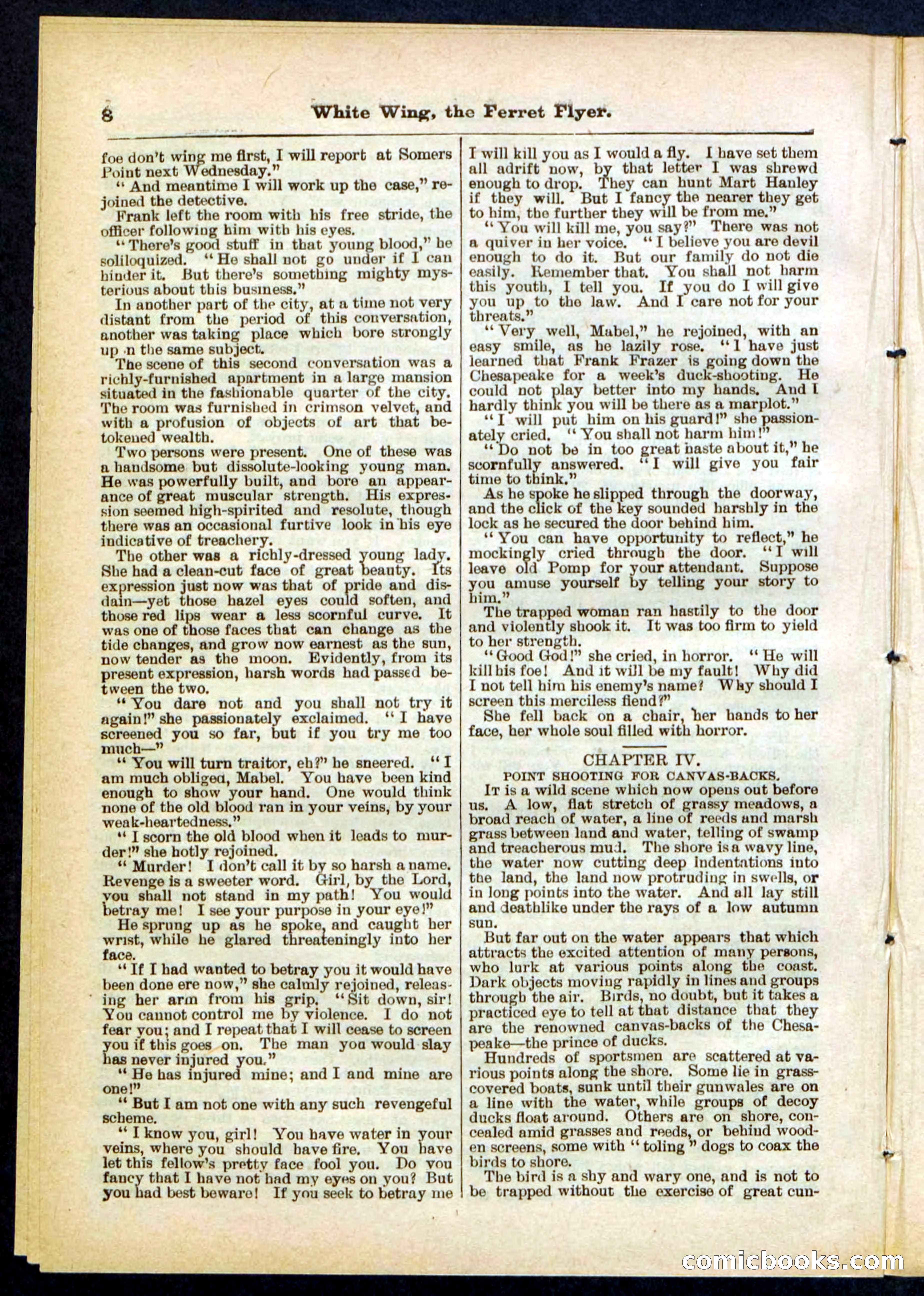 Beadle's Pocket Library No. 295 — page 8 of 32