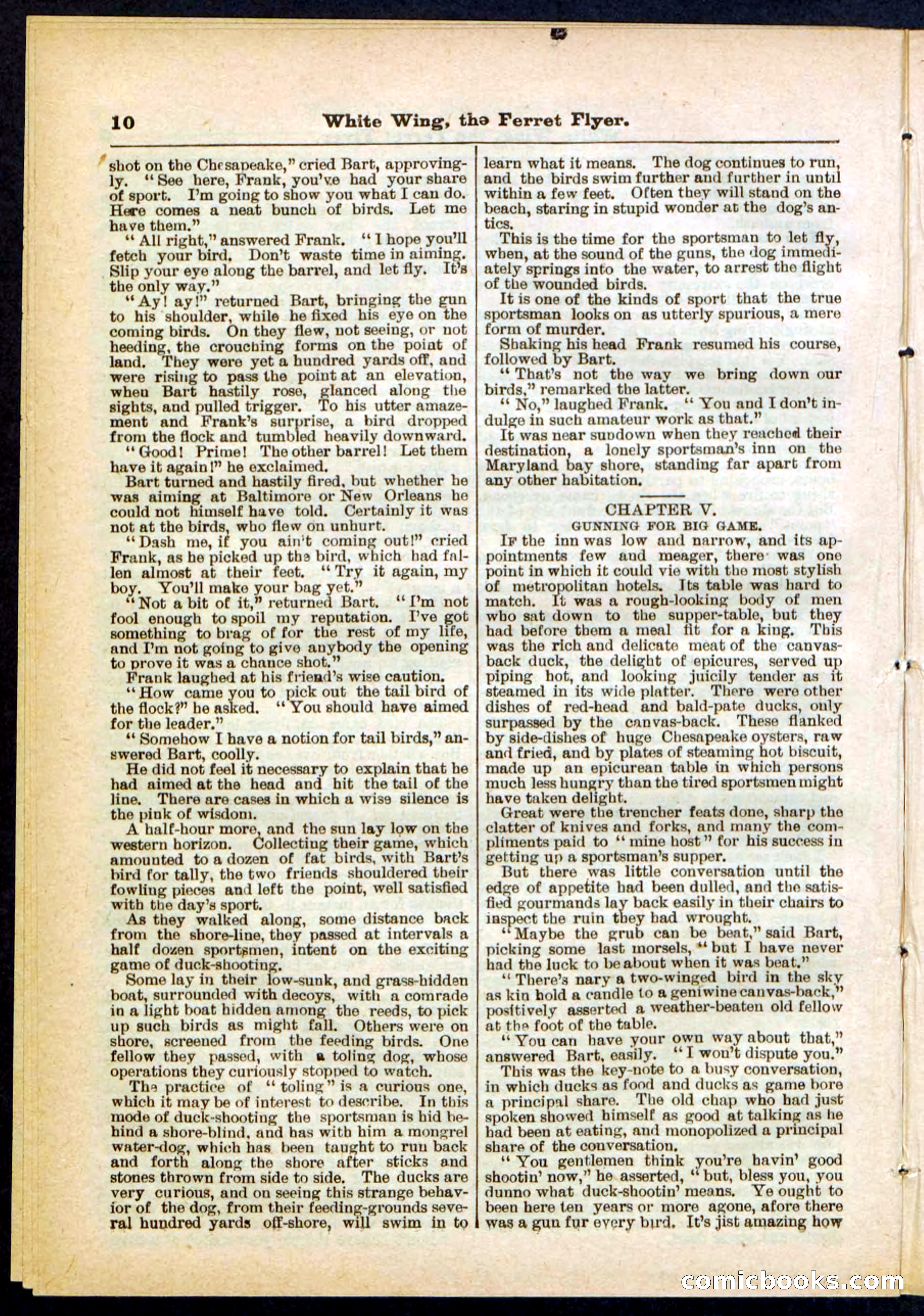 Beadle's Pocket Library No. 295 — page 10 of 32