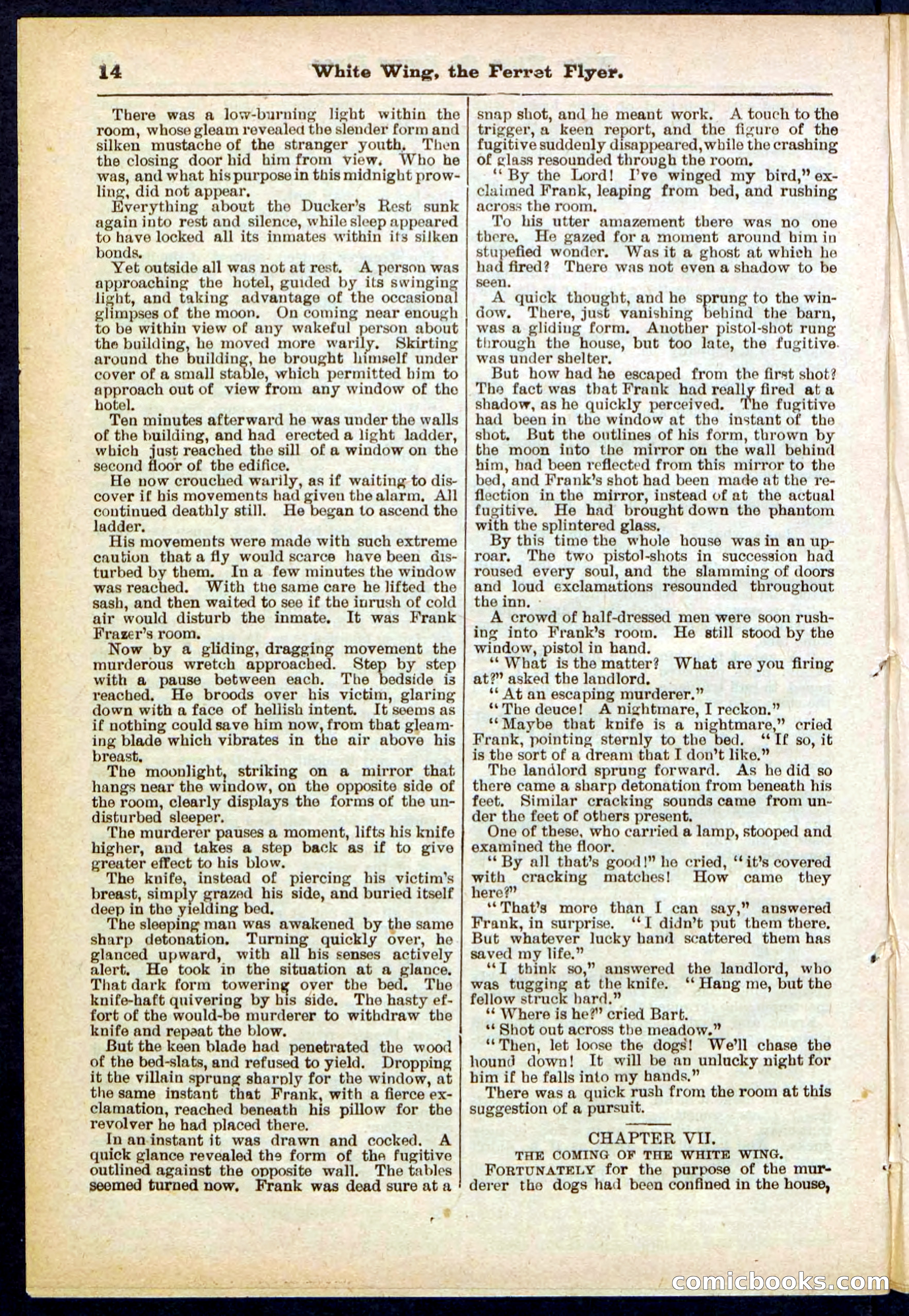 Beadle's Pocket Library No. 295 — page 14 of 32