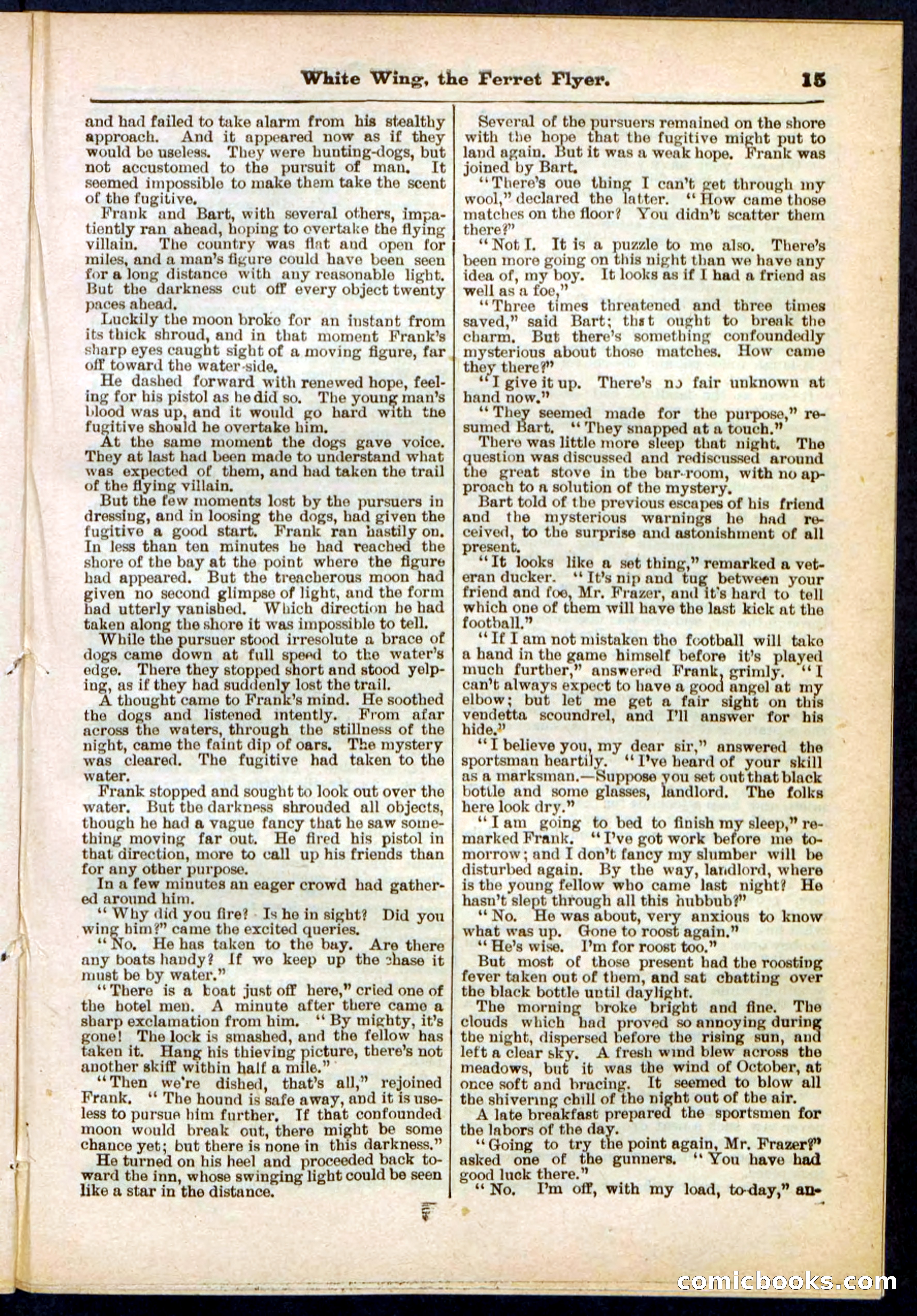 Beadle's Pocket Library No. 295 — page 15 of 32