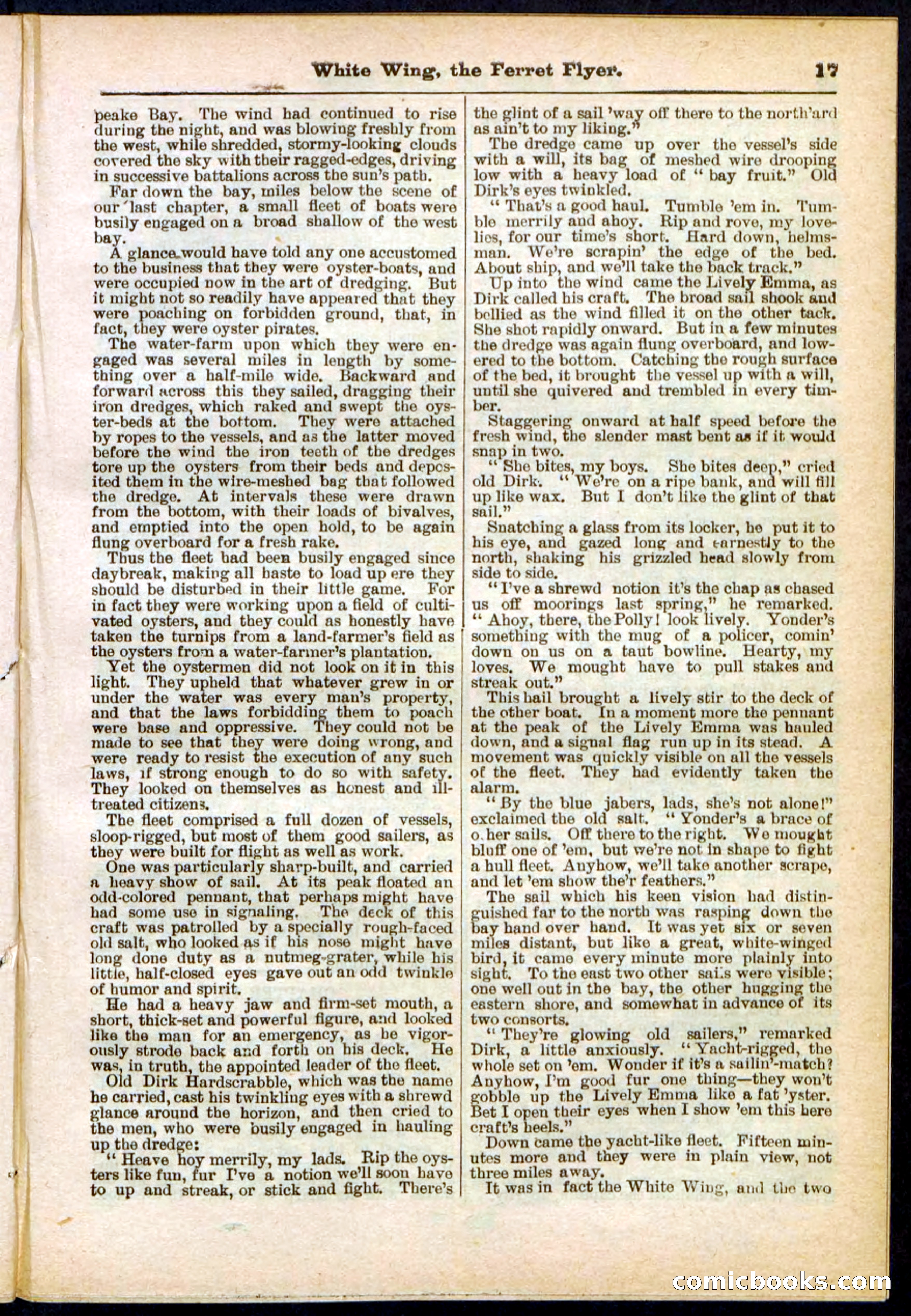 Beadle's Pocket Library No. 295 — page 17 of 32