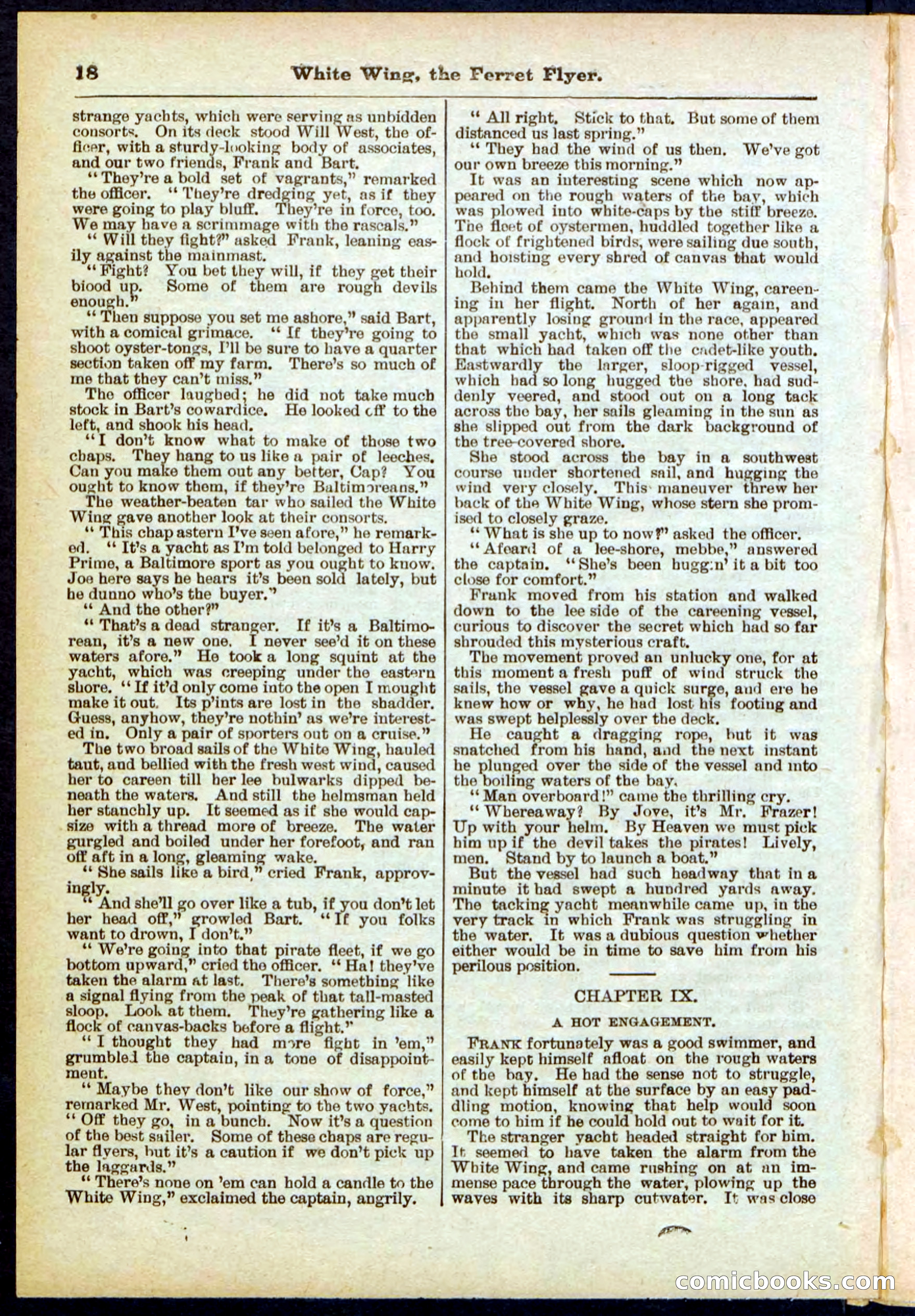 Beadle's Pocket Library No. 295 — page 18 of 32