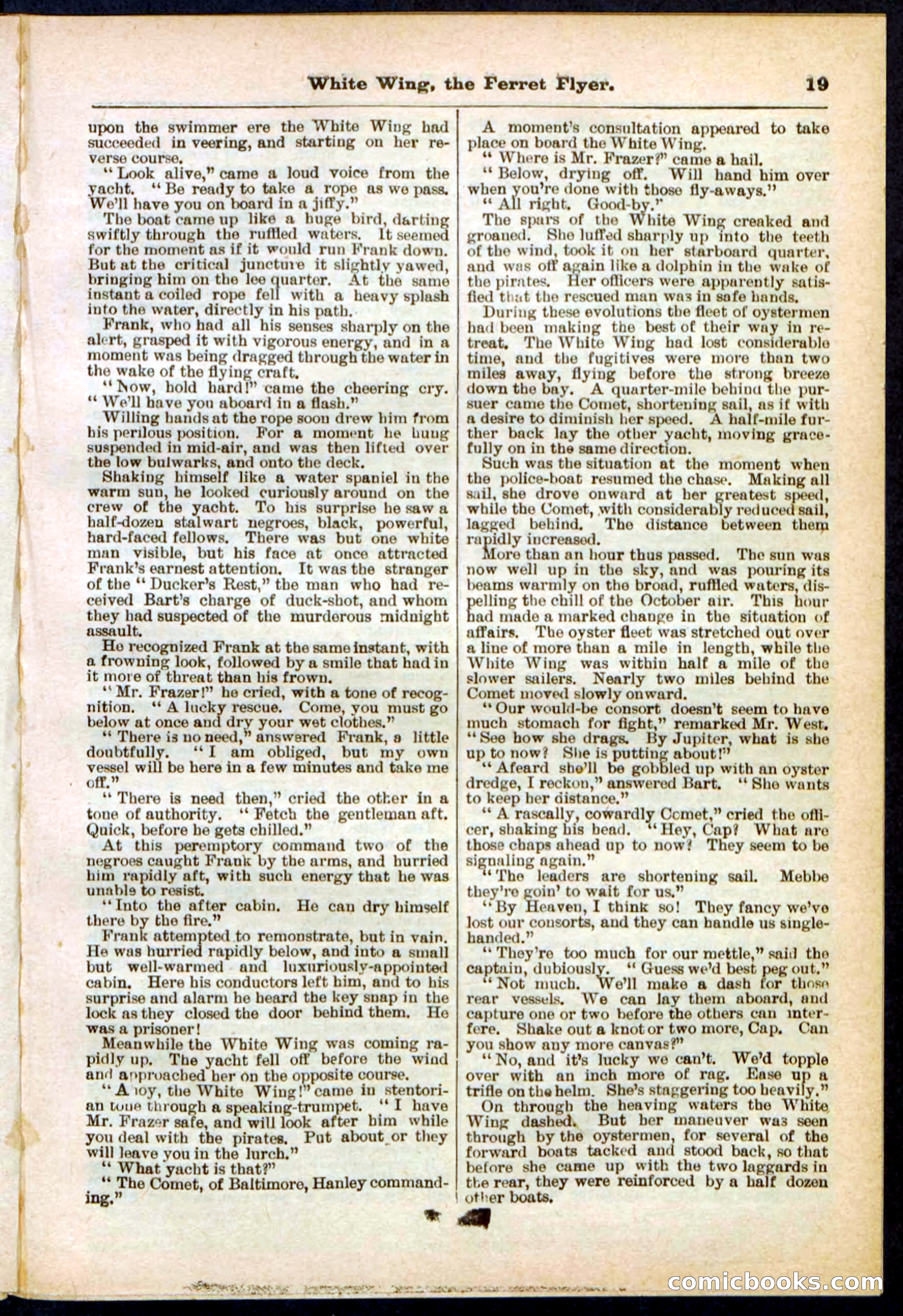 Beadle's Pocket Library No. 295 — page 19 of 32