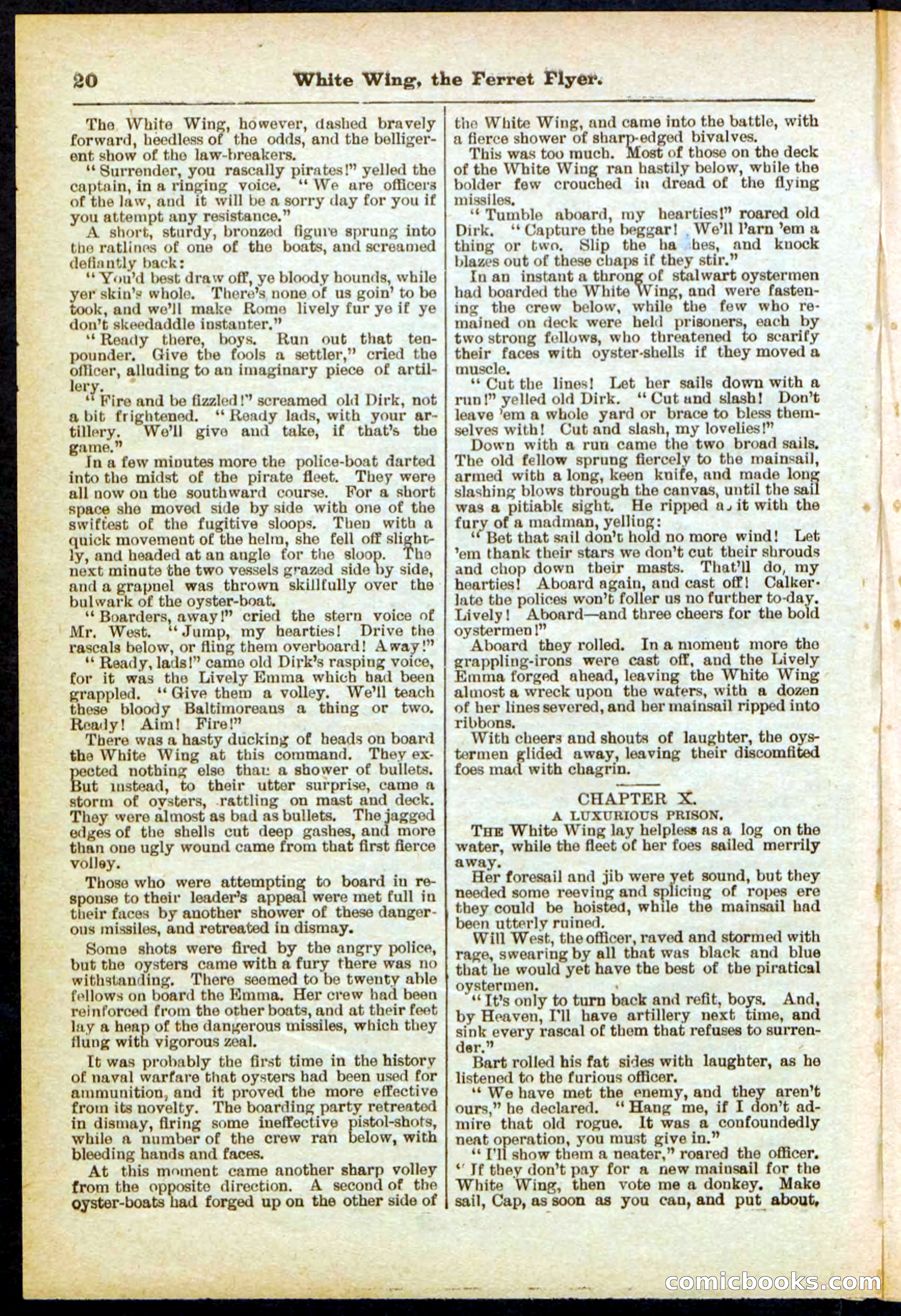 Beadle's Pocket Library No. 295 — page 20 of 32