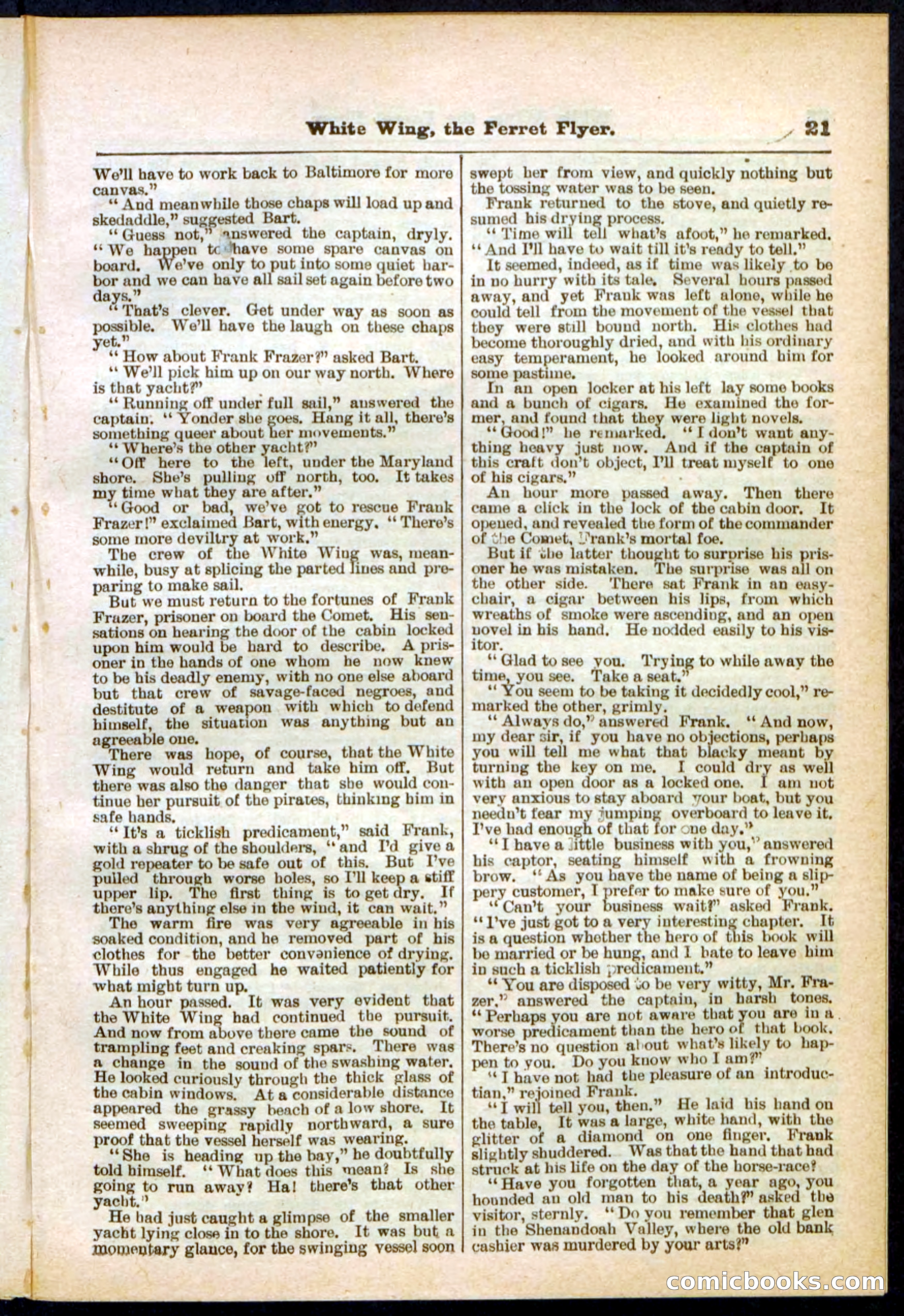 Beadle's Pocket Library No. 295 — page 21 of 32