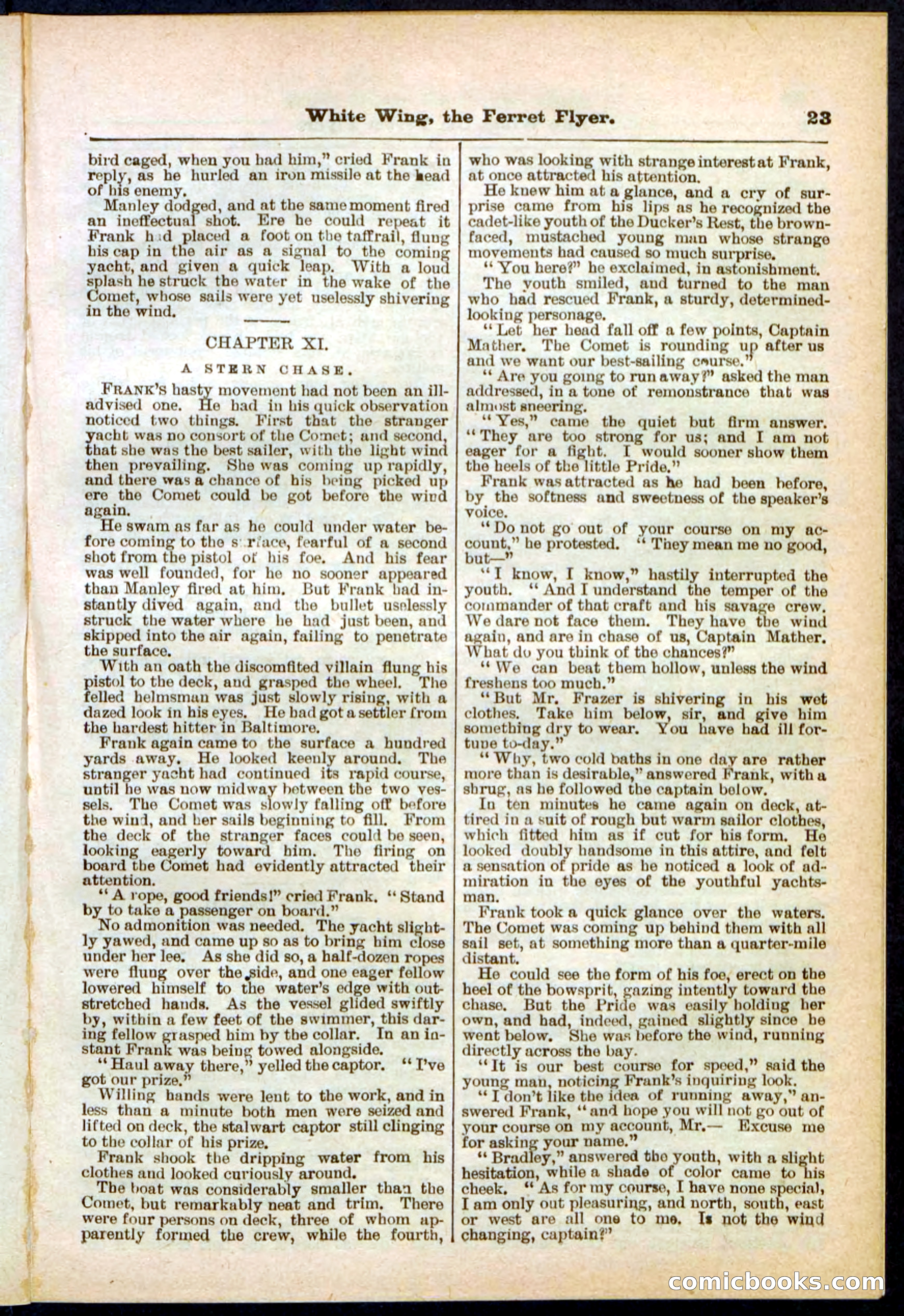 Beadle's Pocket Library No. 295 — page 23 of 32