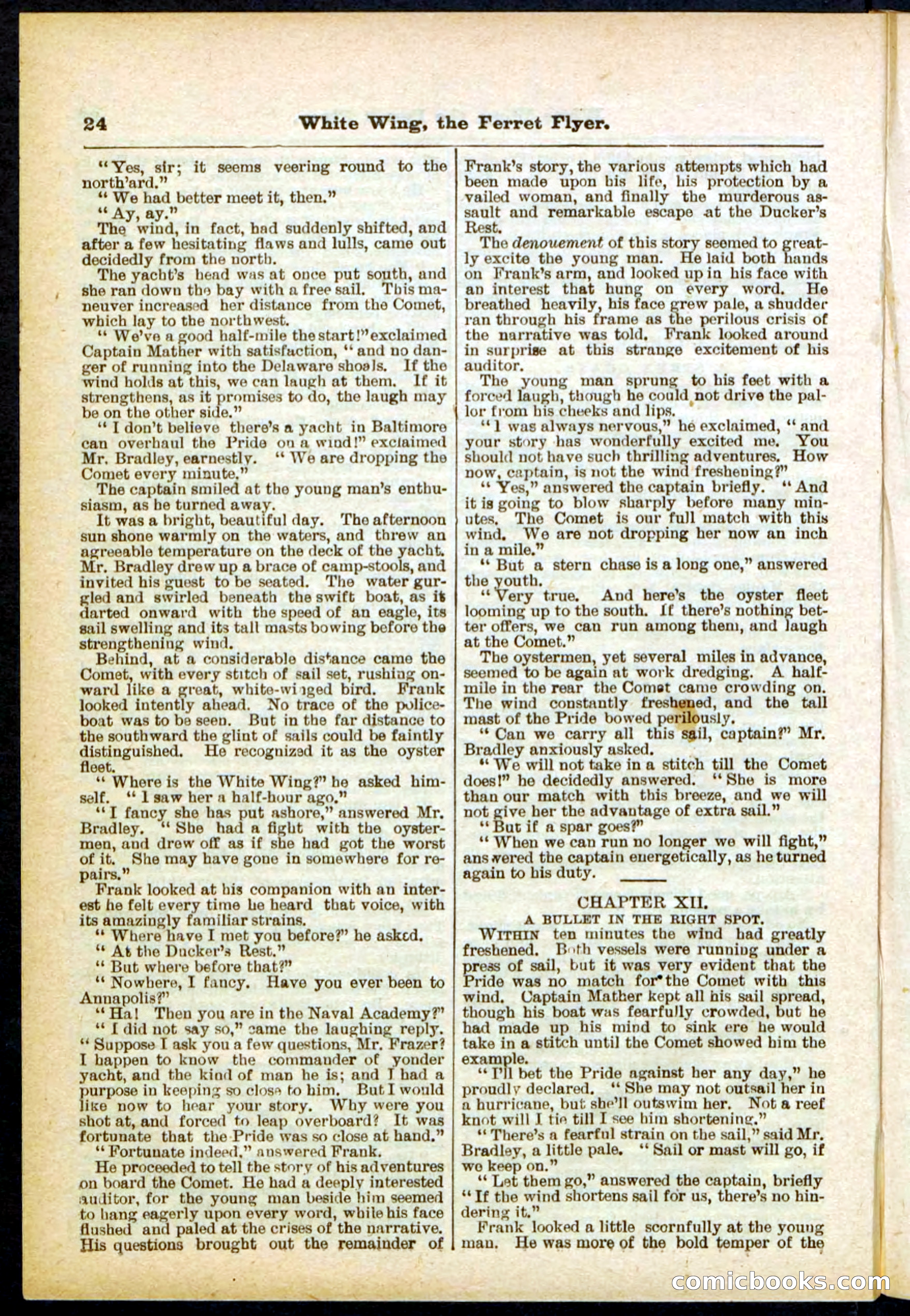Beadle's Pocket Library No. 295 — page 24 of 32