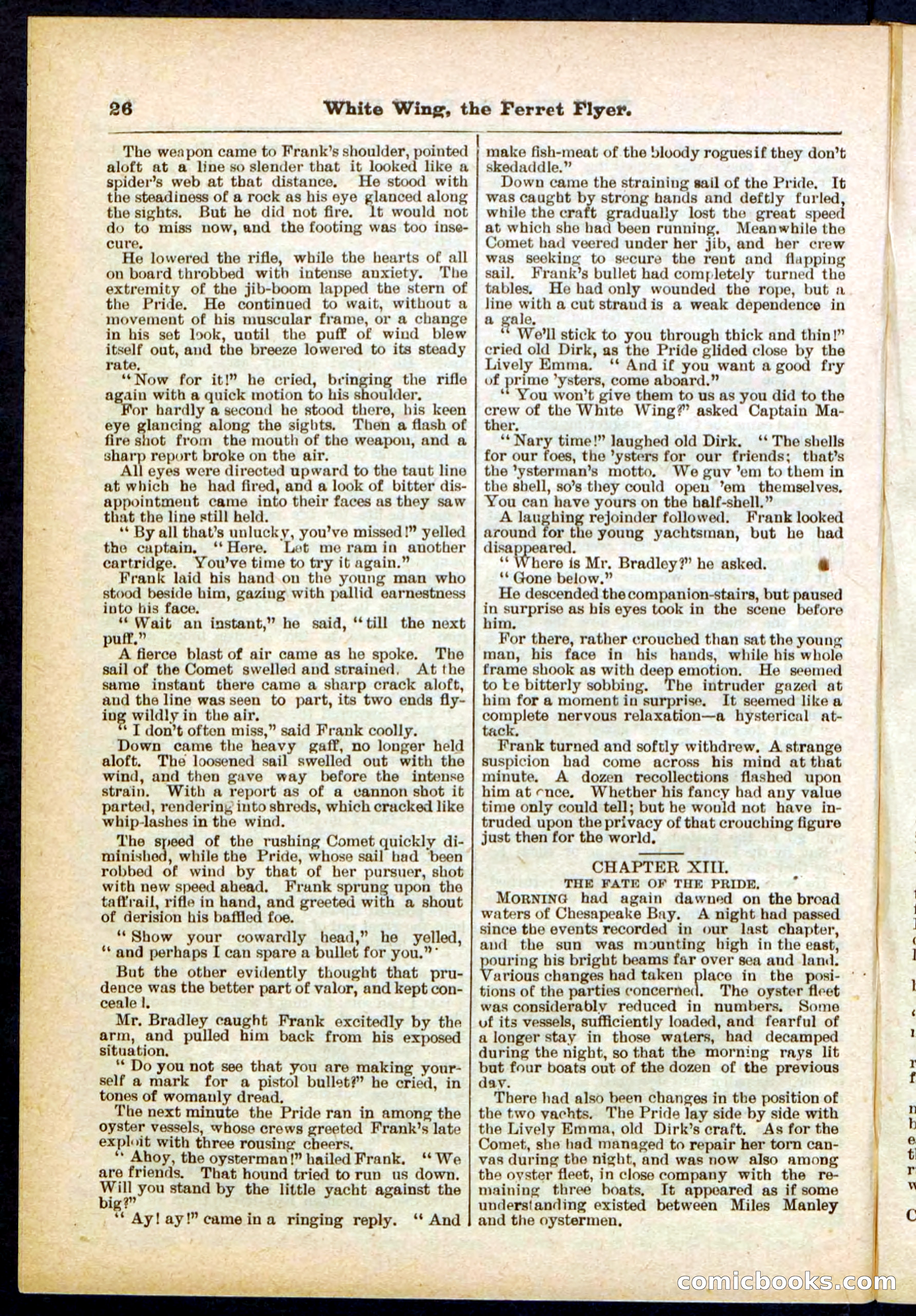 Beadle's Pocket Library No. 295 — page 26 of 32