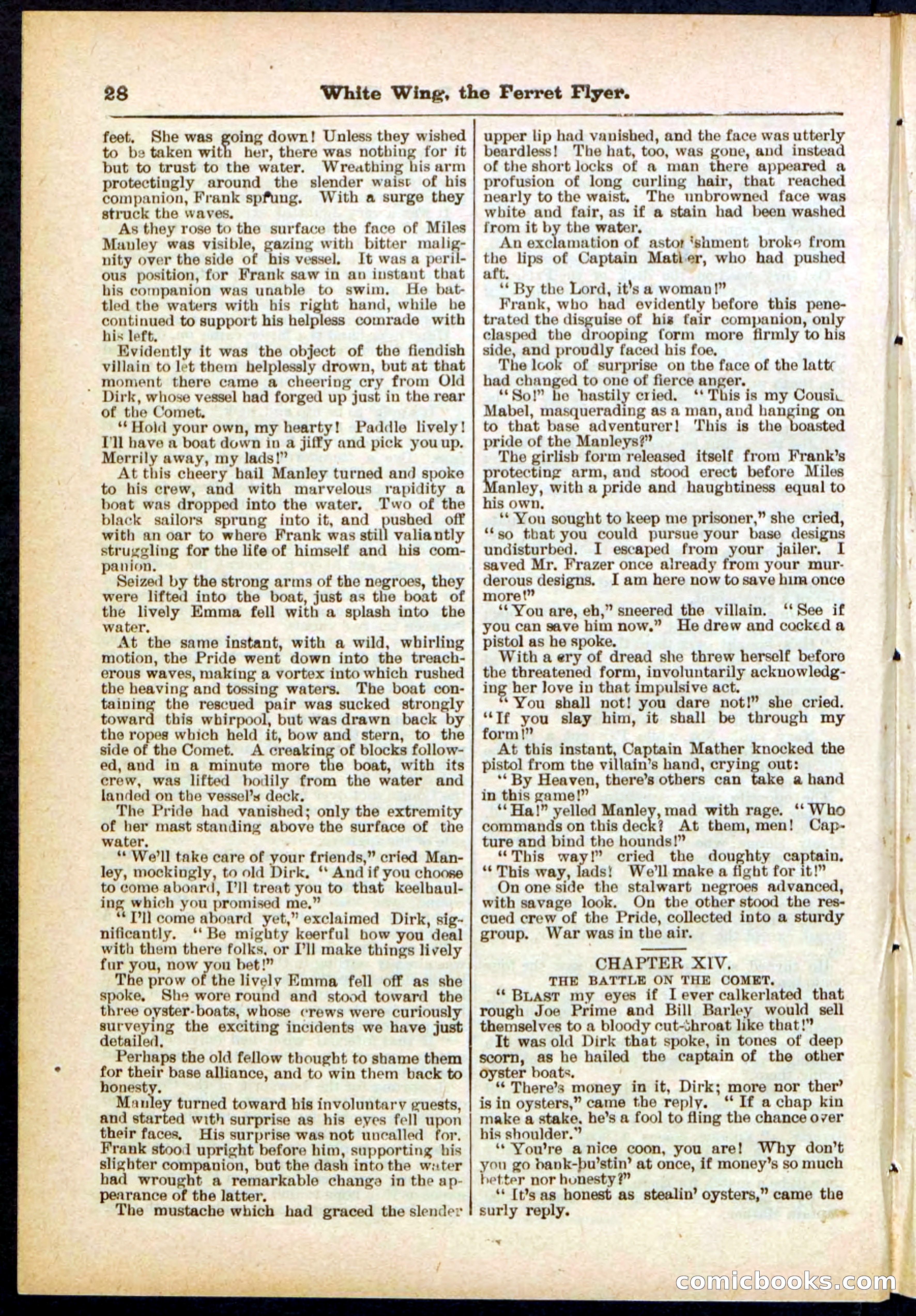 Beadle's Pocket Library No. 295 — page 28 of 32