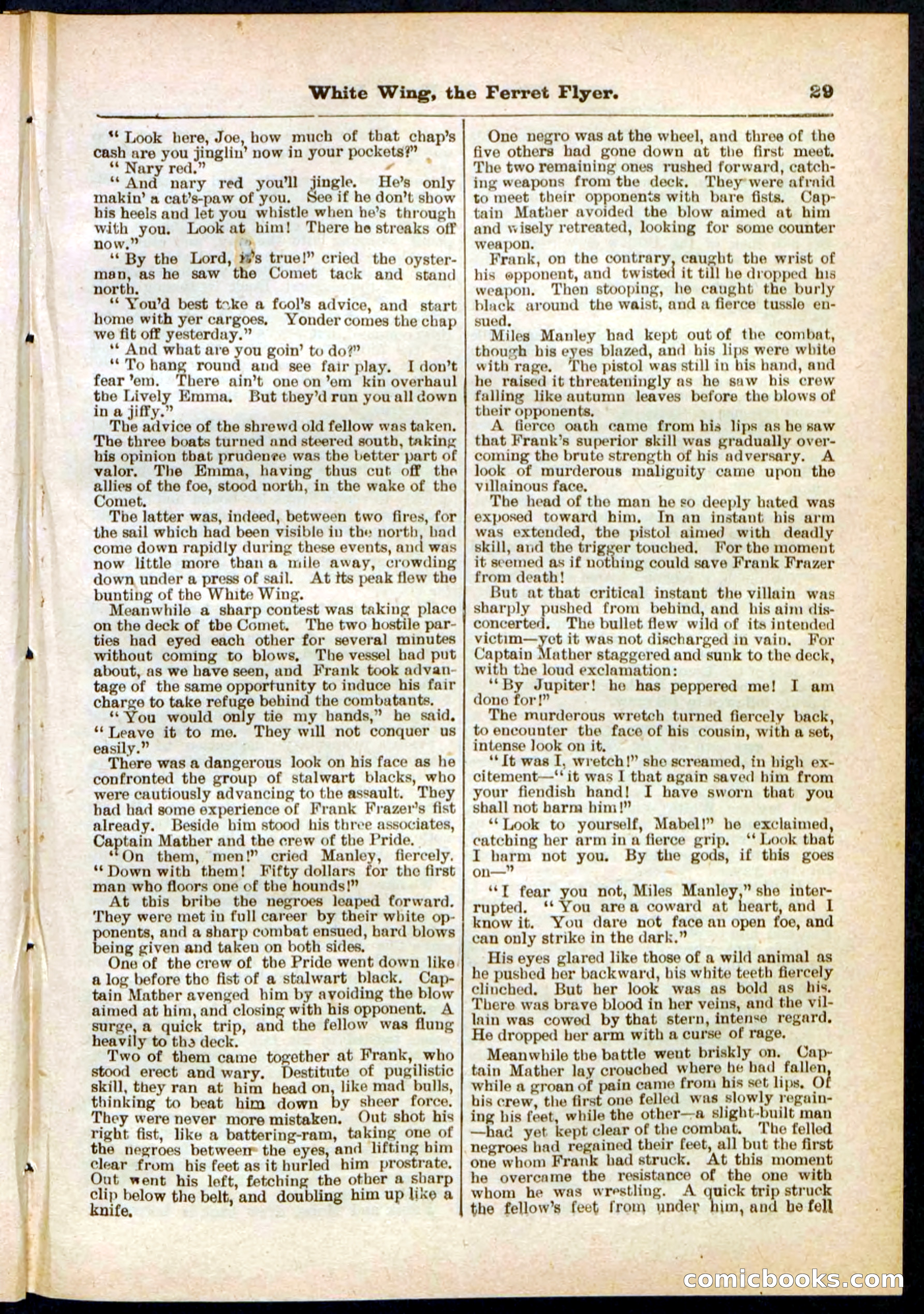 Beadle's Pocket Library No. 295 — page 29 of 32