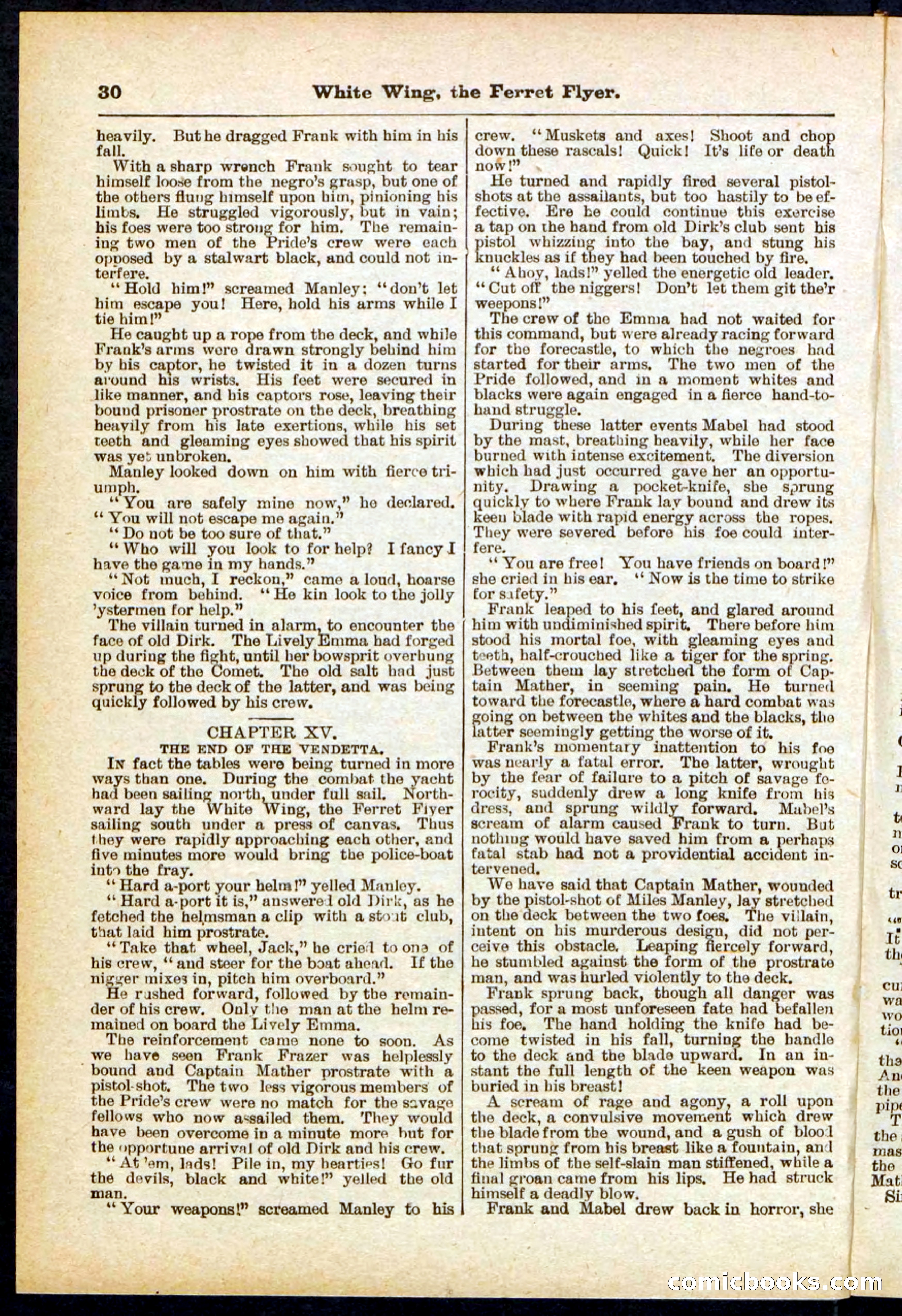 Beadle's Pocket Library No. 295 — page 30 of 32