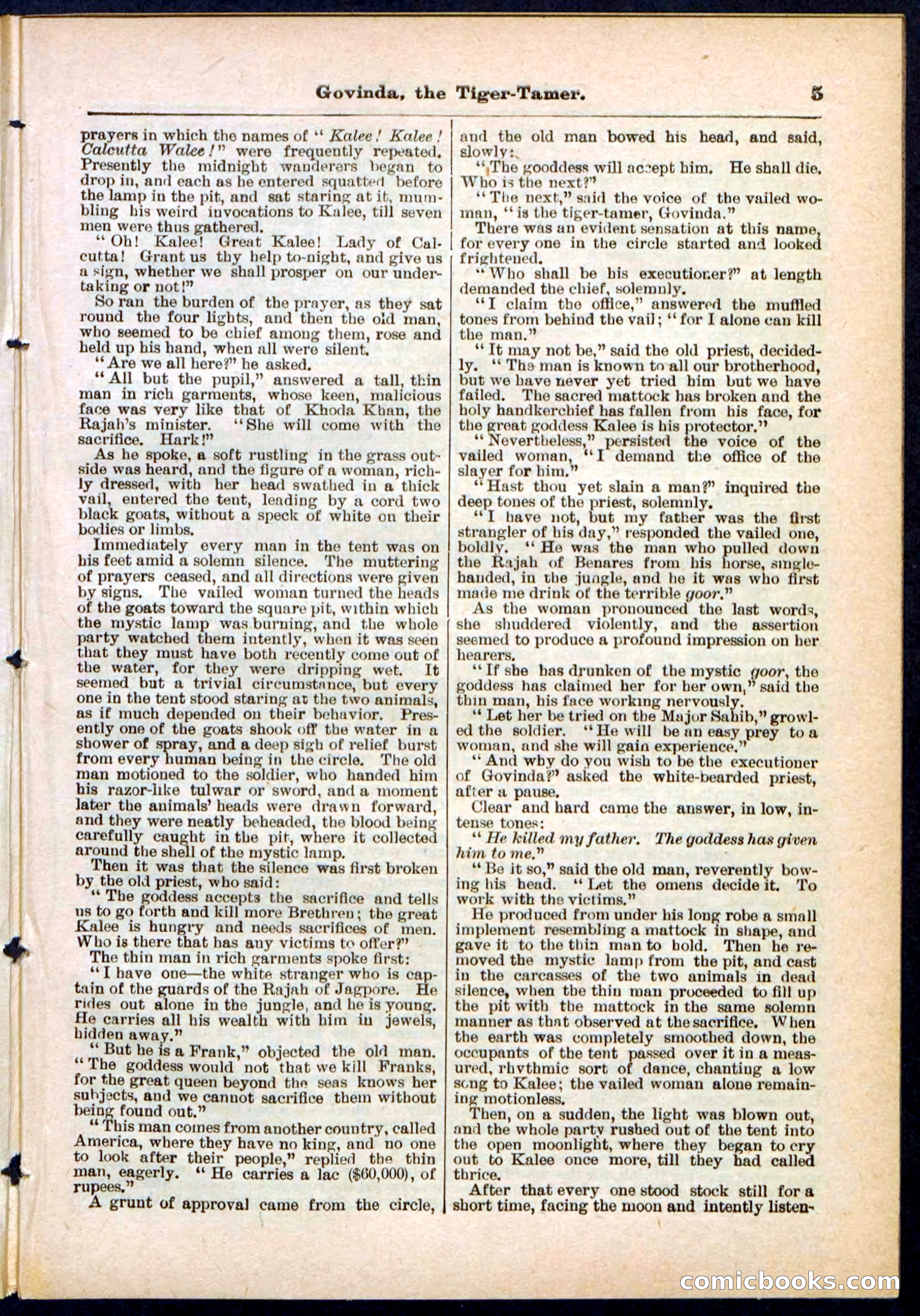 Beadle's Pocket Library No. 296 — page 5 of 48