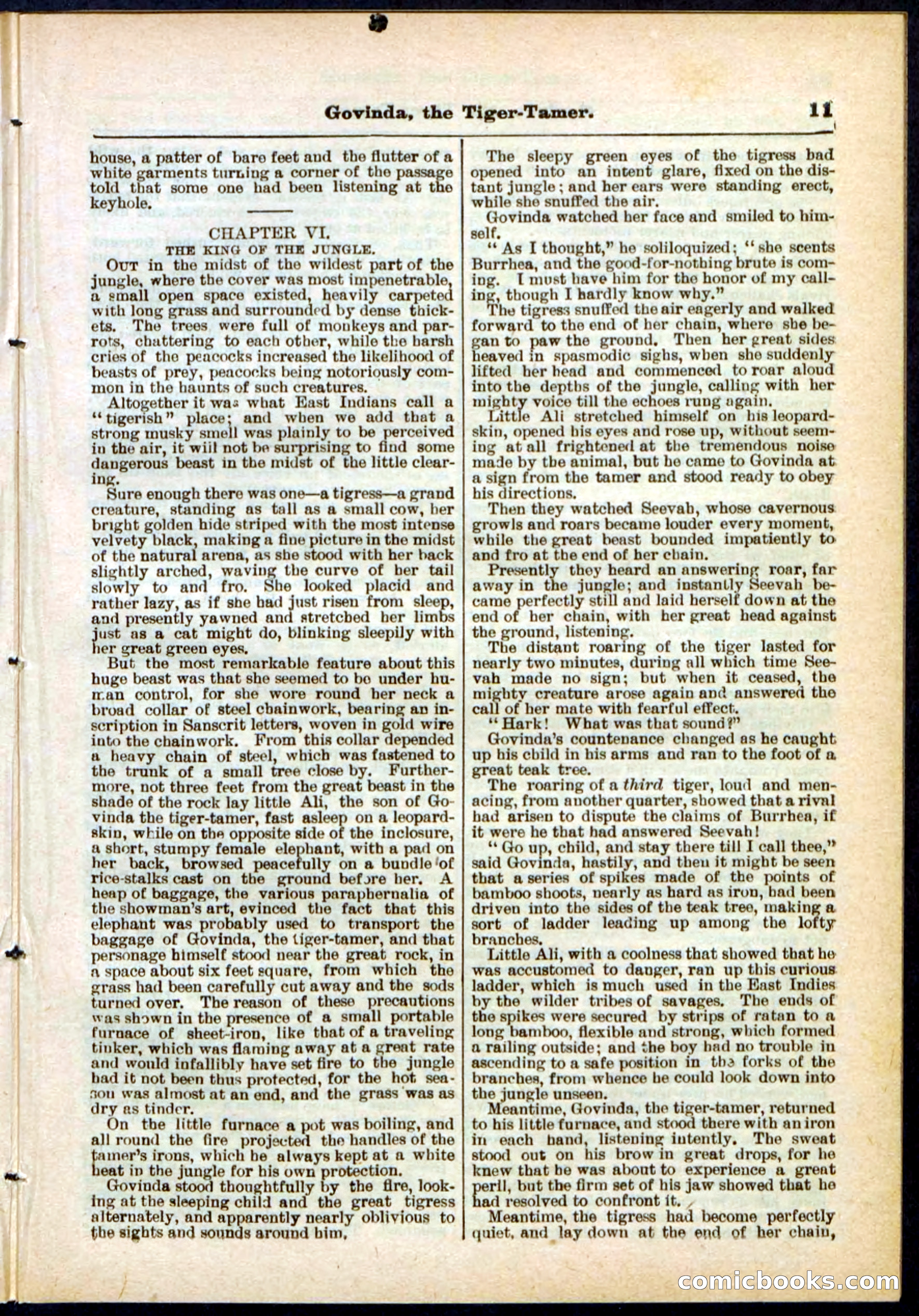 Beadle's Pocket Library No. 296 — page 11 of 48
