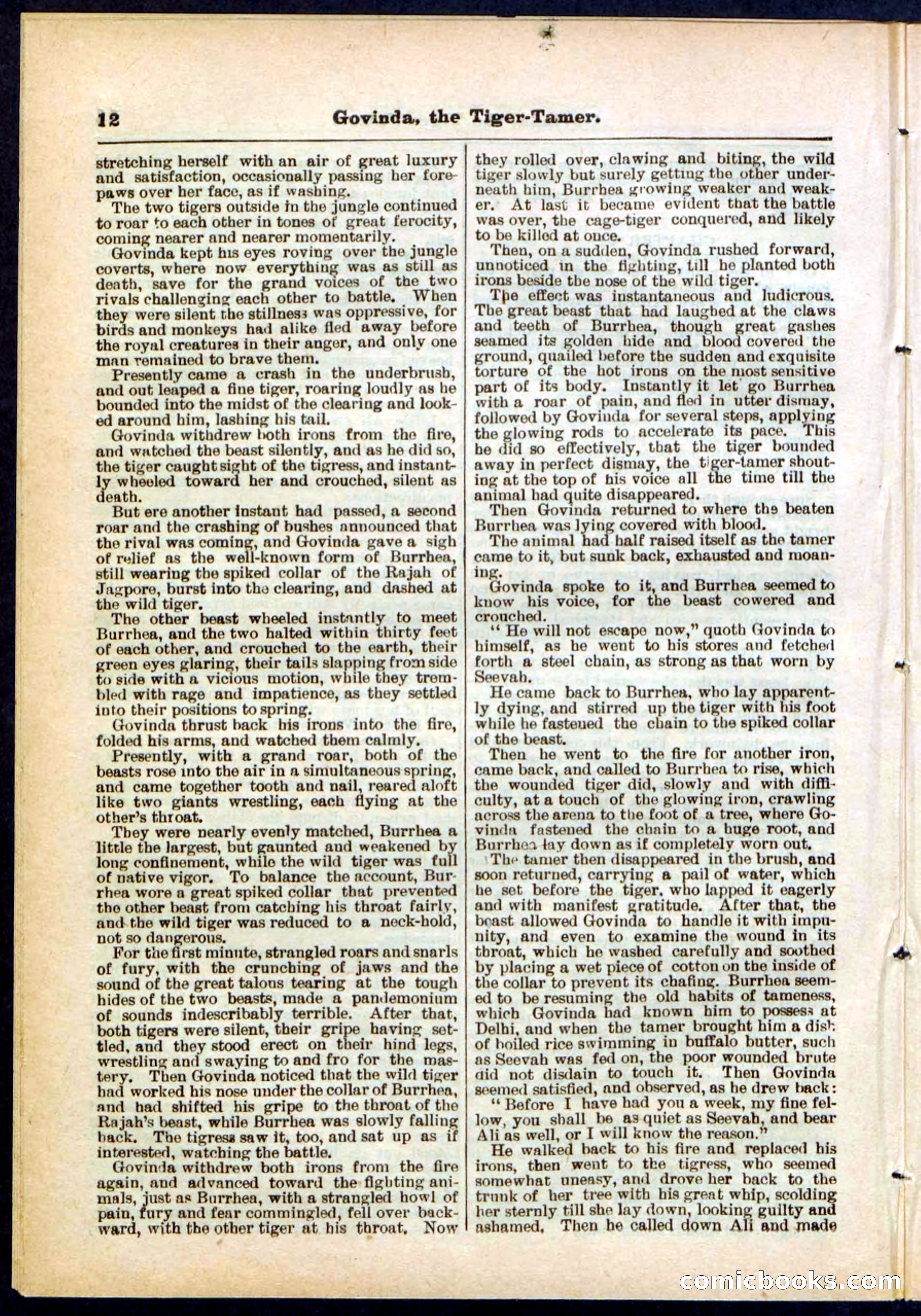 Beadle's Pocket Library No. 296 — page 12 of 48