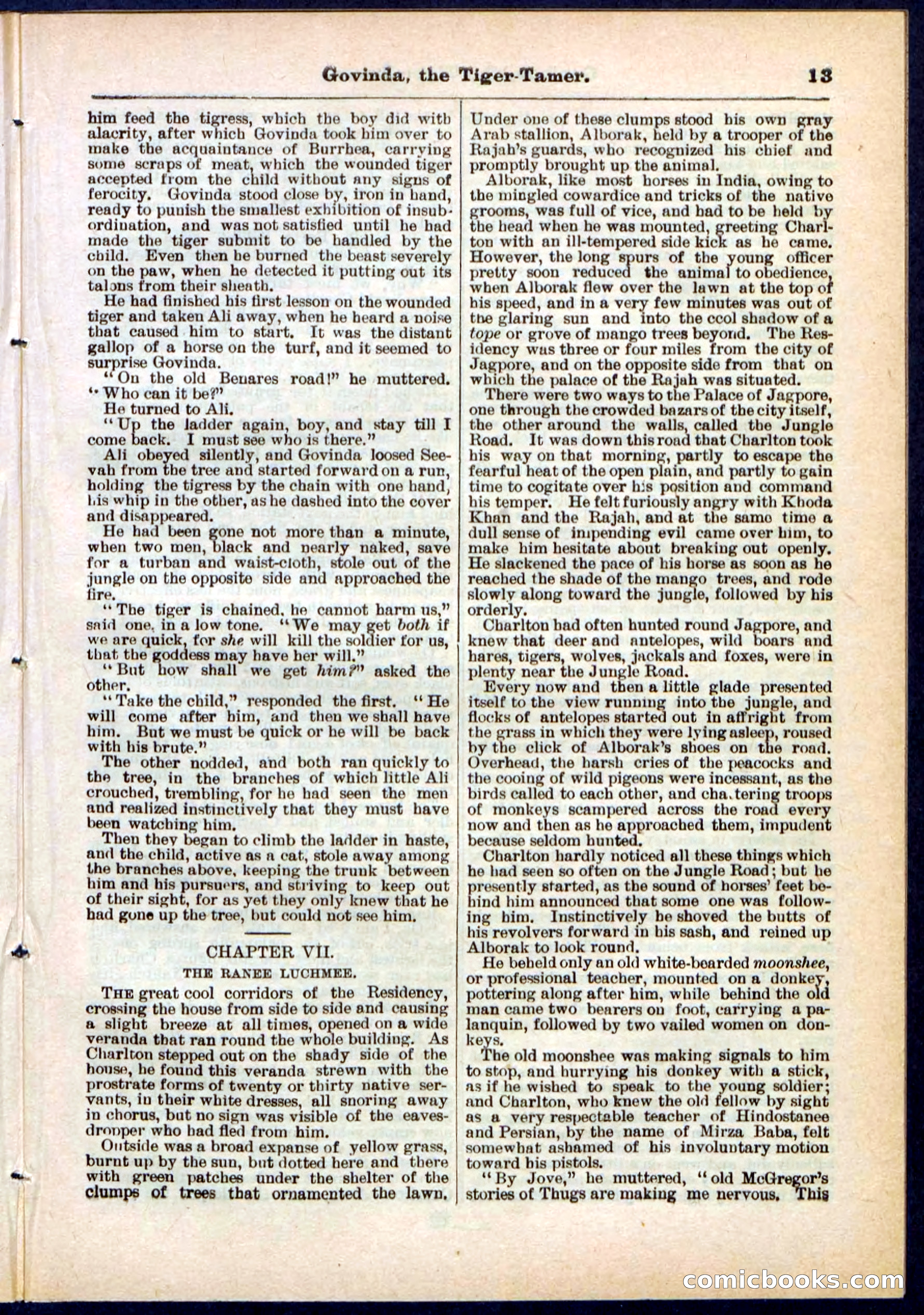 Beadle's Pocket Library No. 296 — page 13 of 48