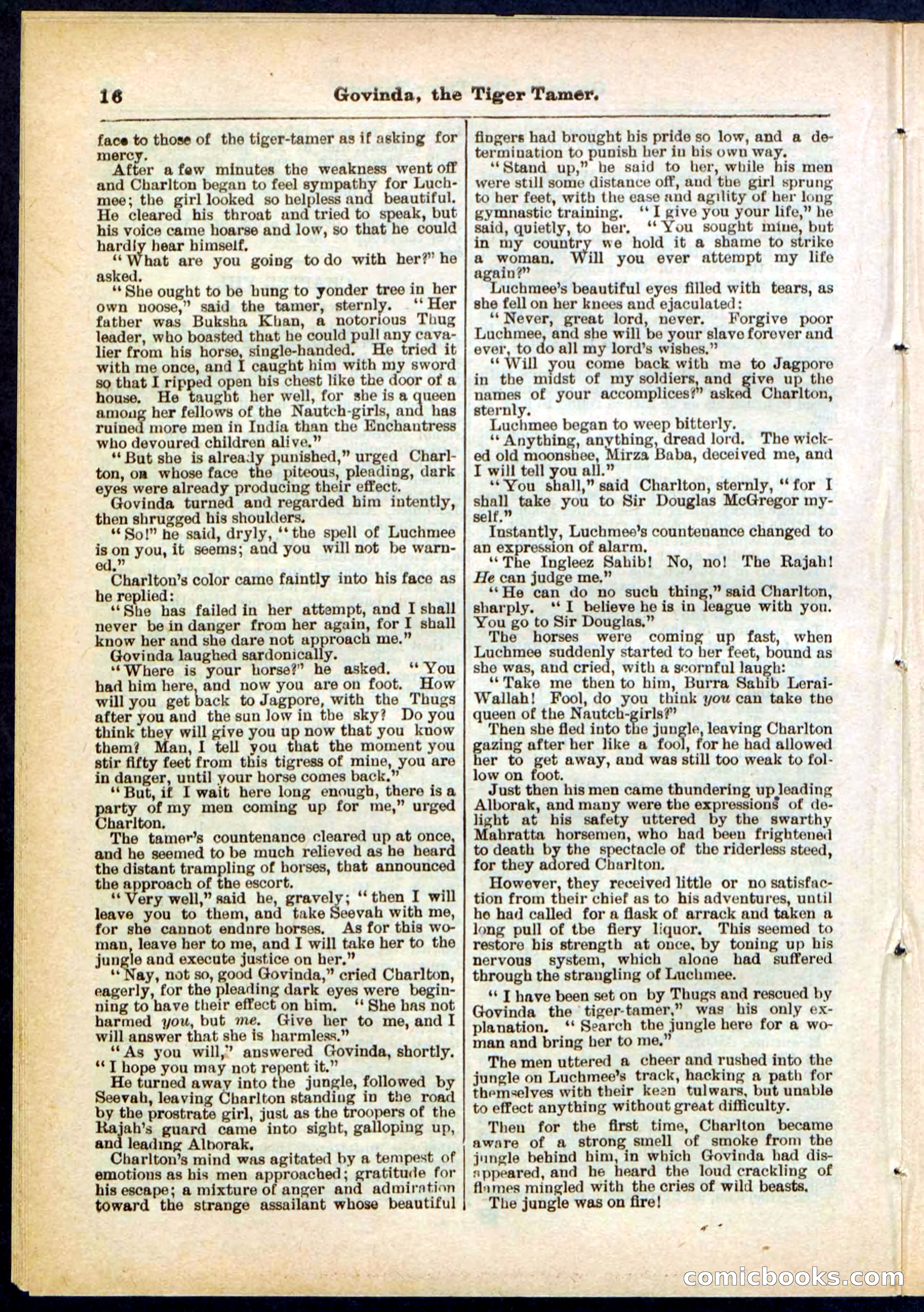 Beadle's Pocket Library No. 296 — page 16 of 48