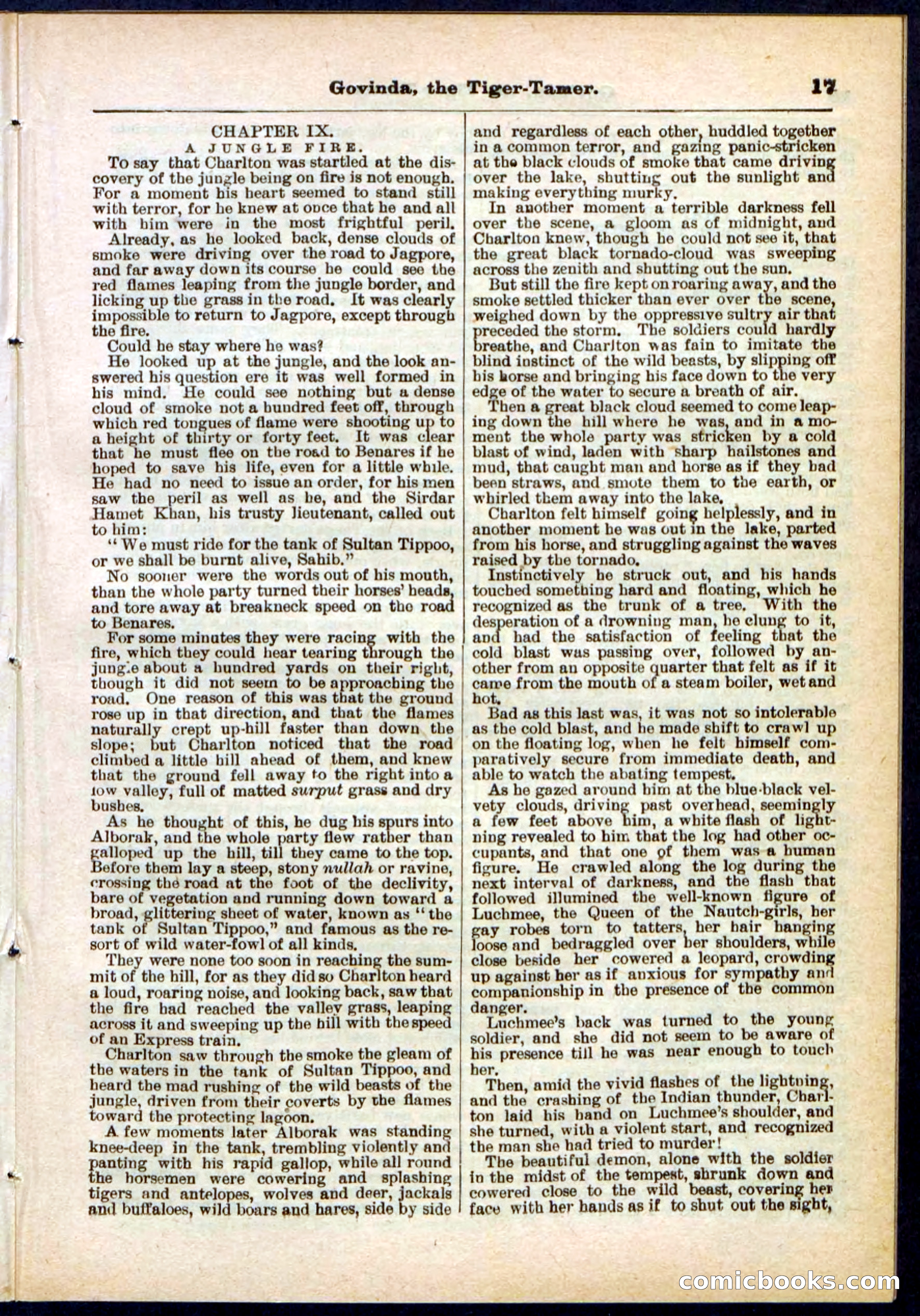 Beadle's Pocket Library No. 296 — page 17 of 48