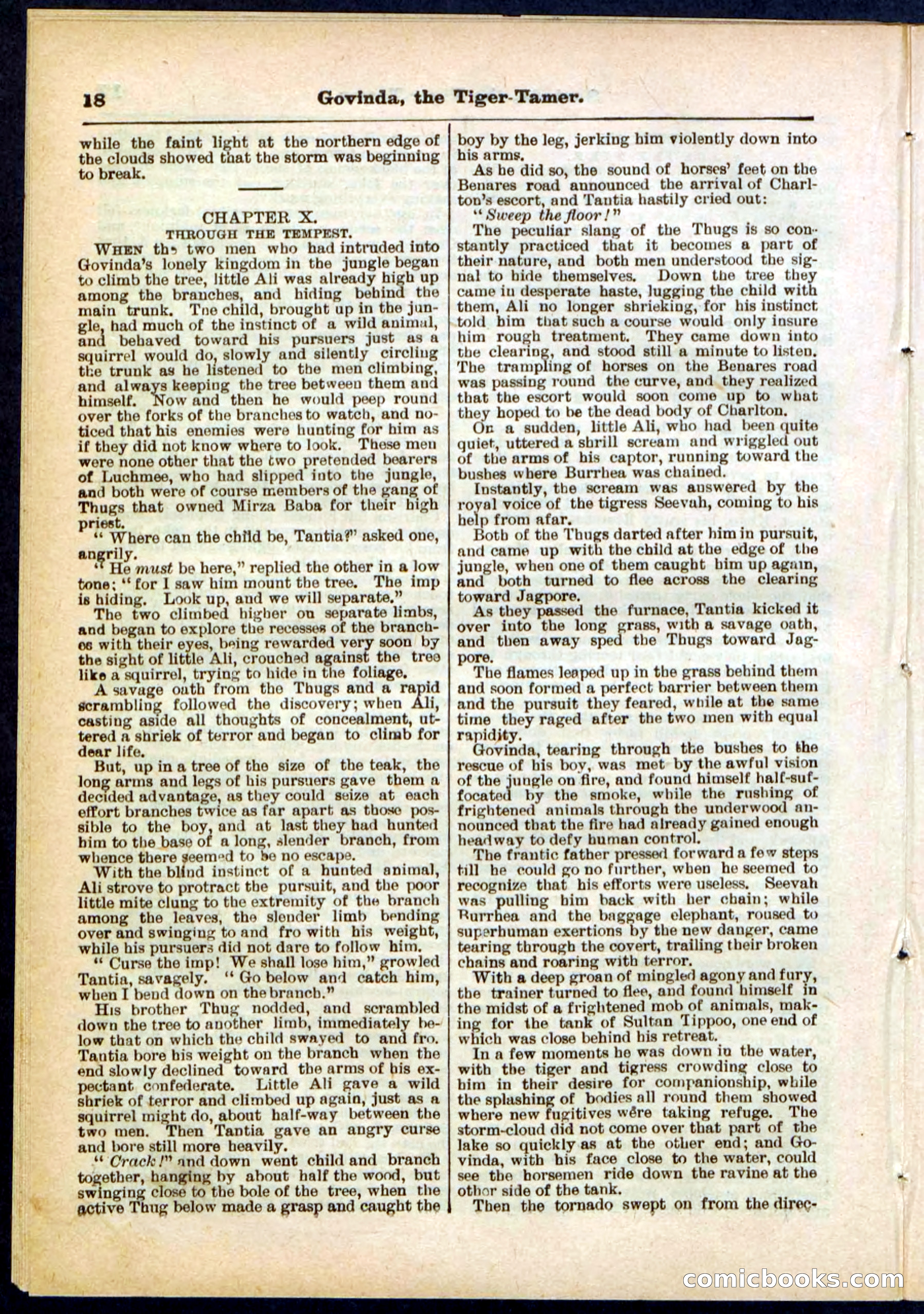 Beadle's Pocket Library No. 296 — page 18 of 48