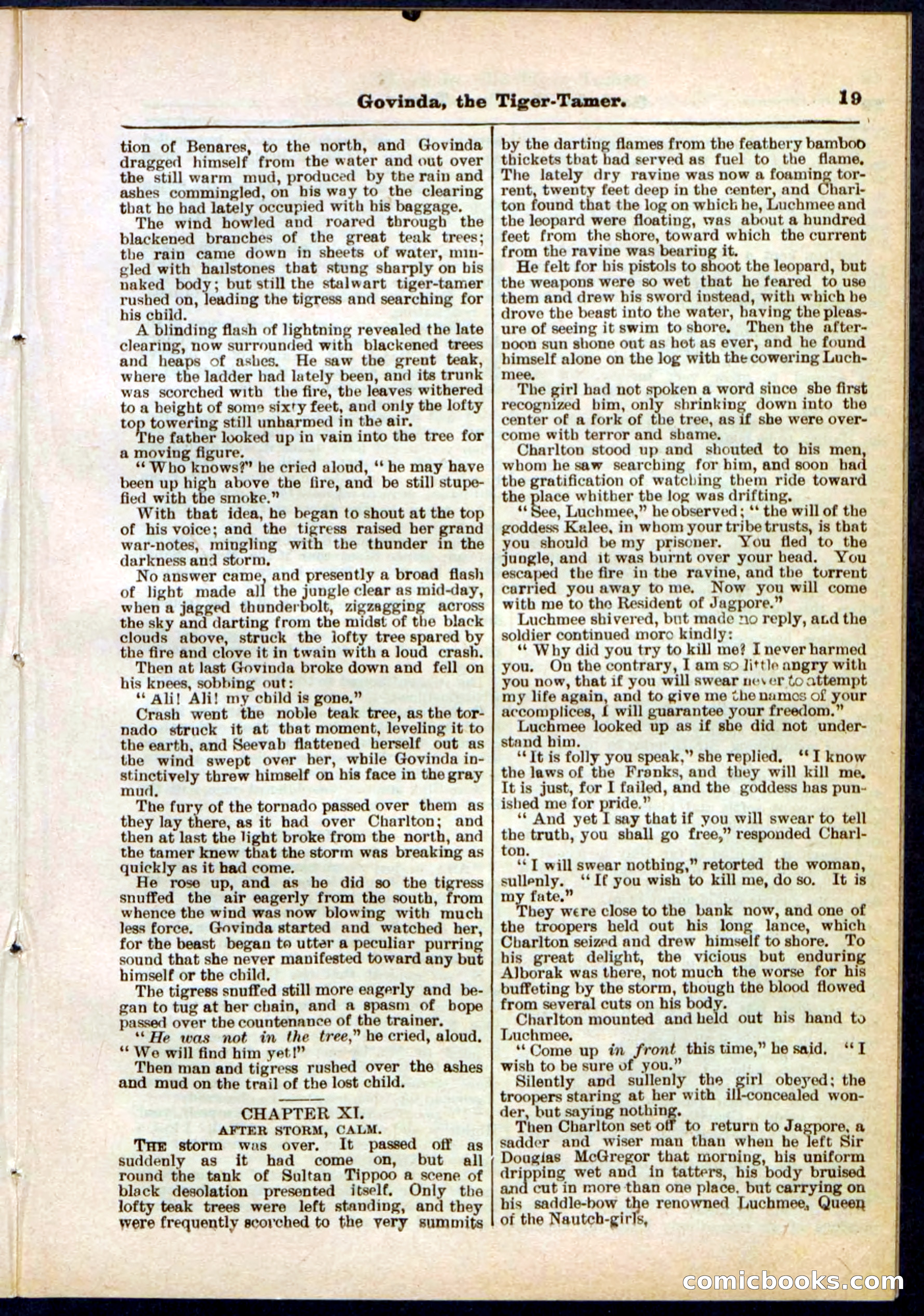 Beadle's Pocket Library No. 296 — page 19 of 48