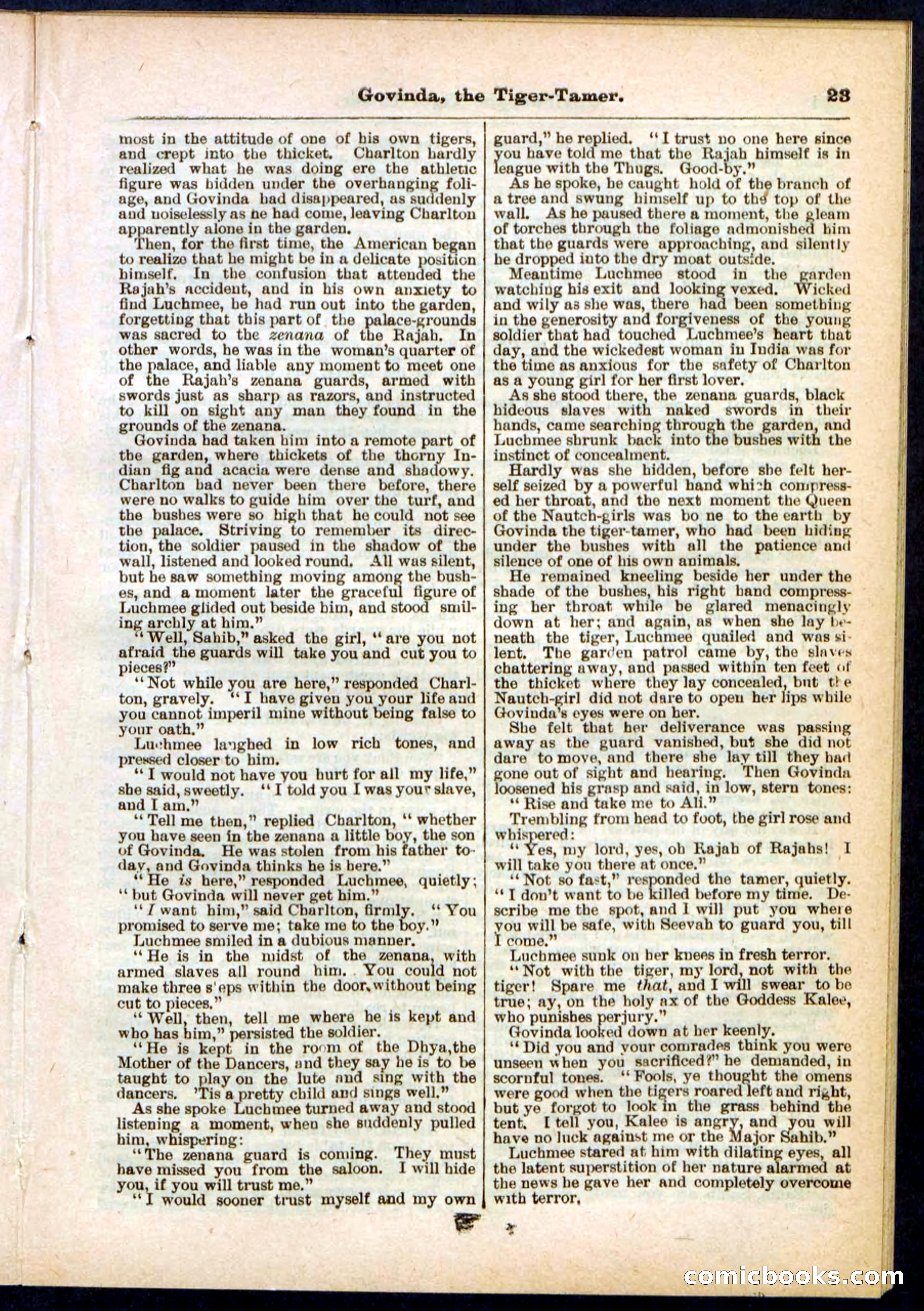 Beadle's Pocket Library No. 296 — page 23 of 48