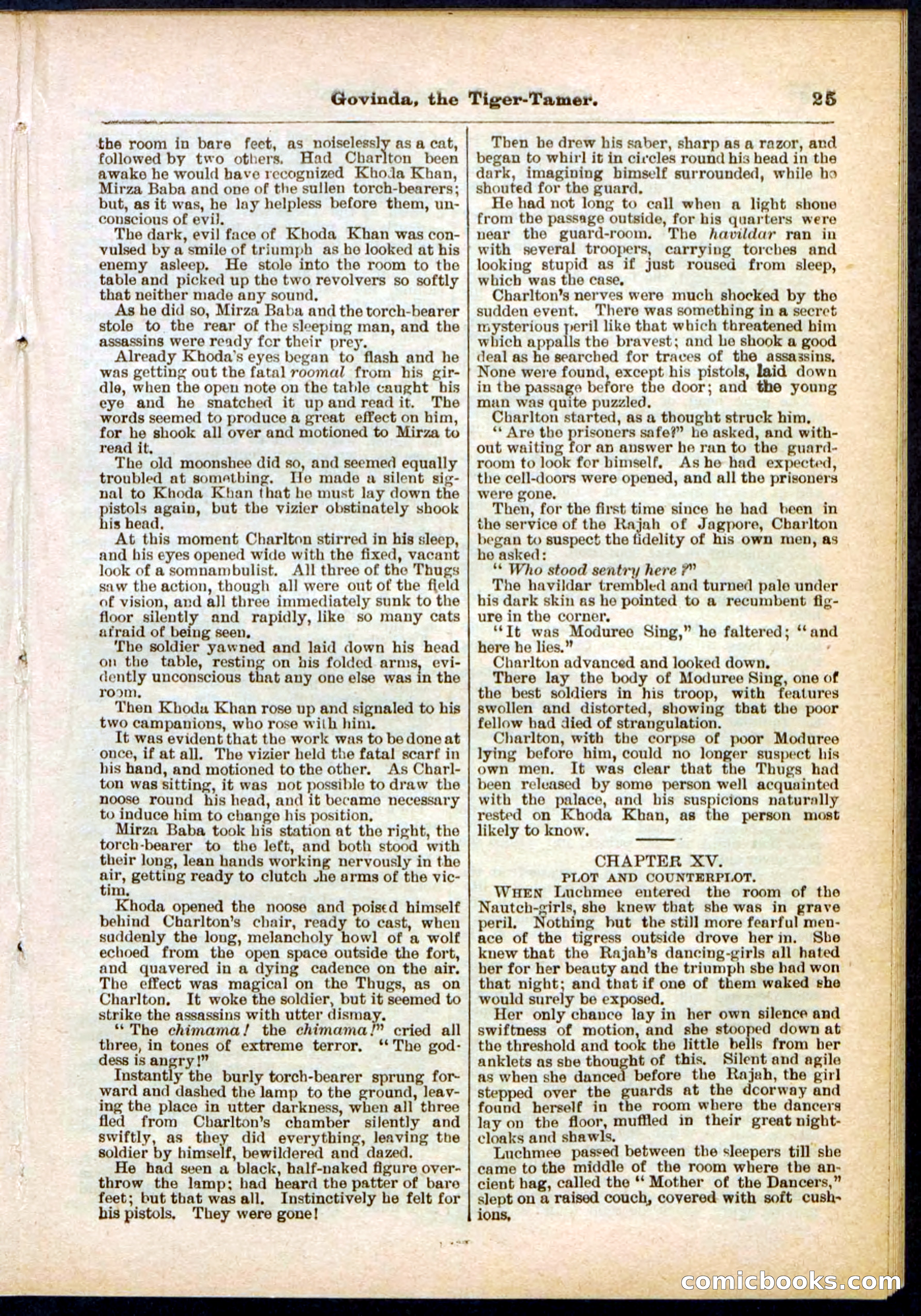 Beadle's Pocket Library No. 296 — page 25 of 48