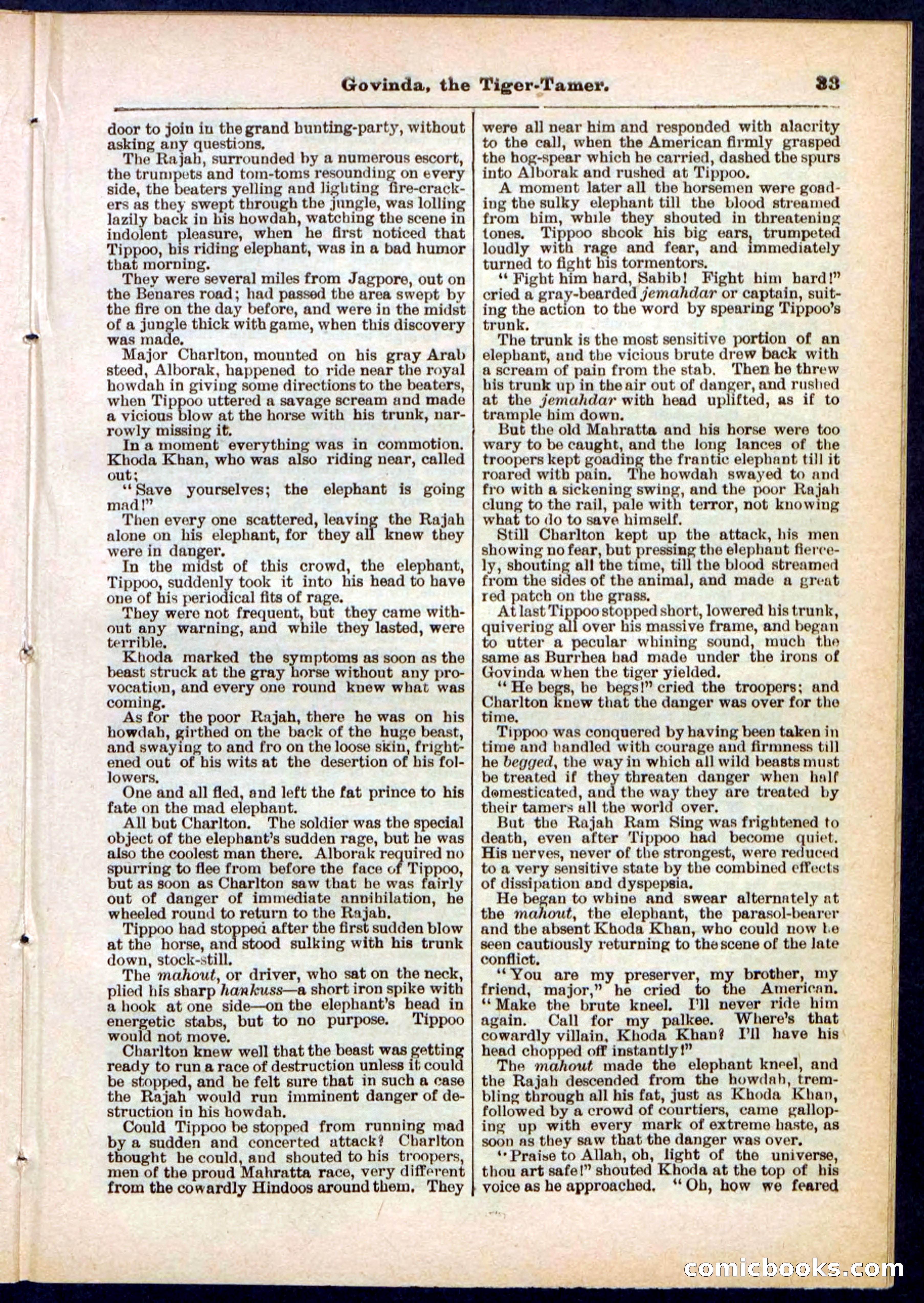 Beadle's Pocket Library No. 296 — page 33 of 48