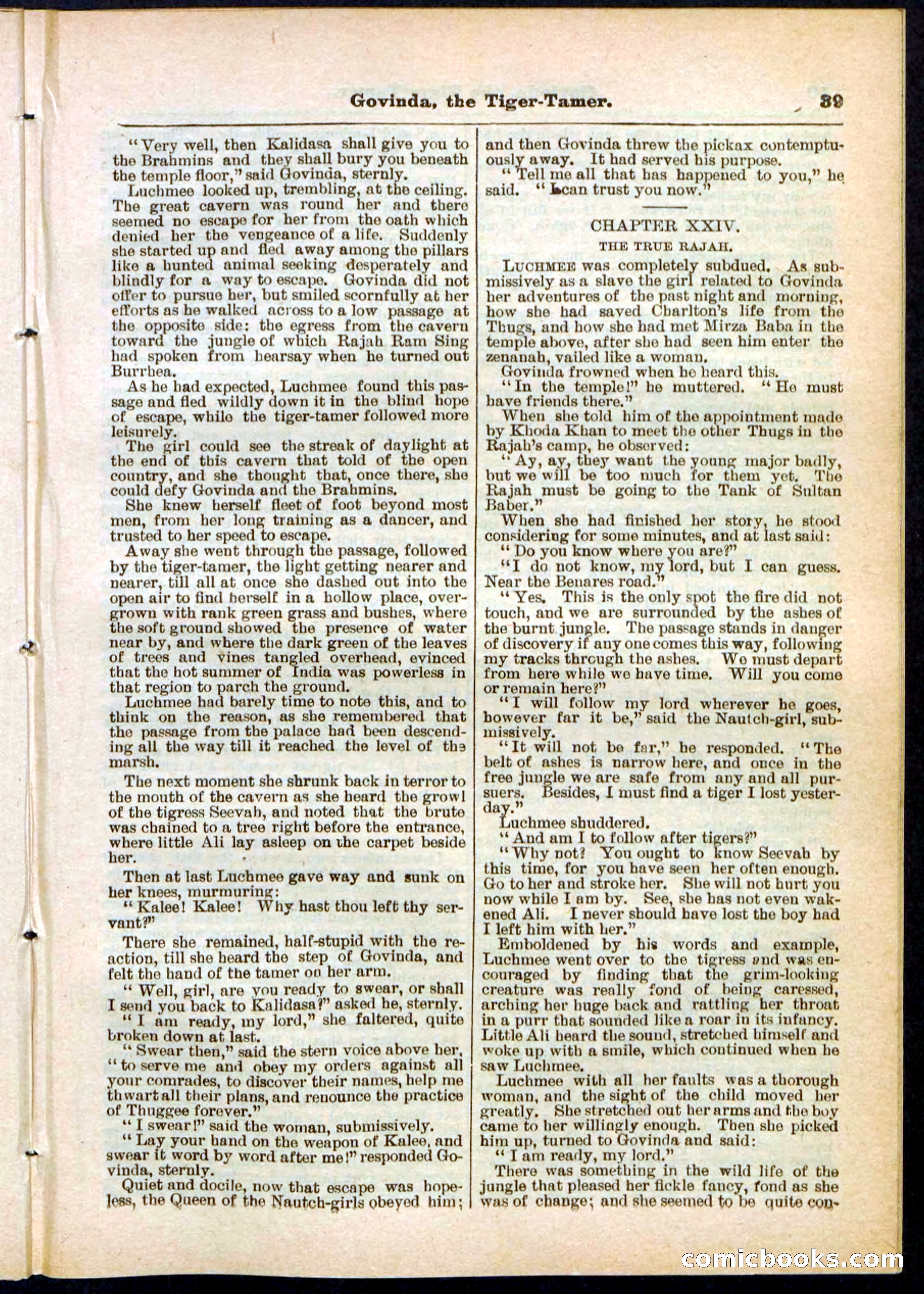 Beadle's Pocket Library No. 296 — page 39 of 48