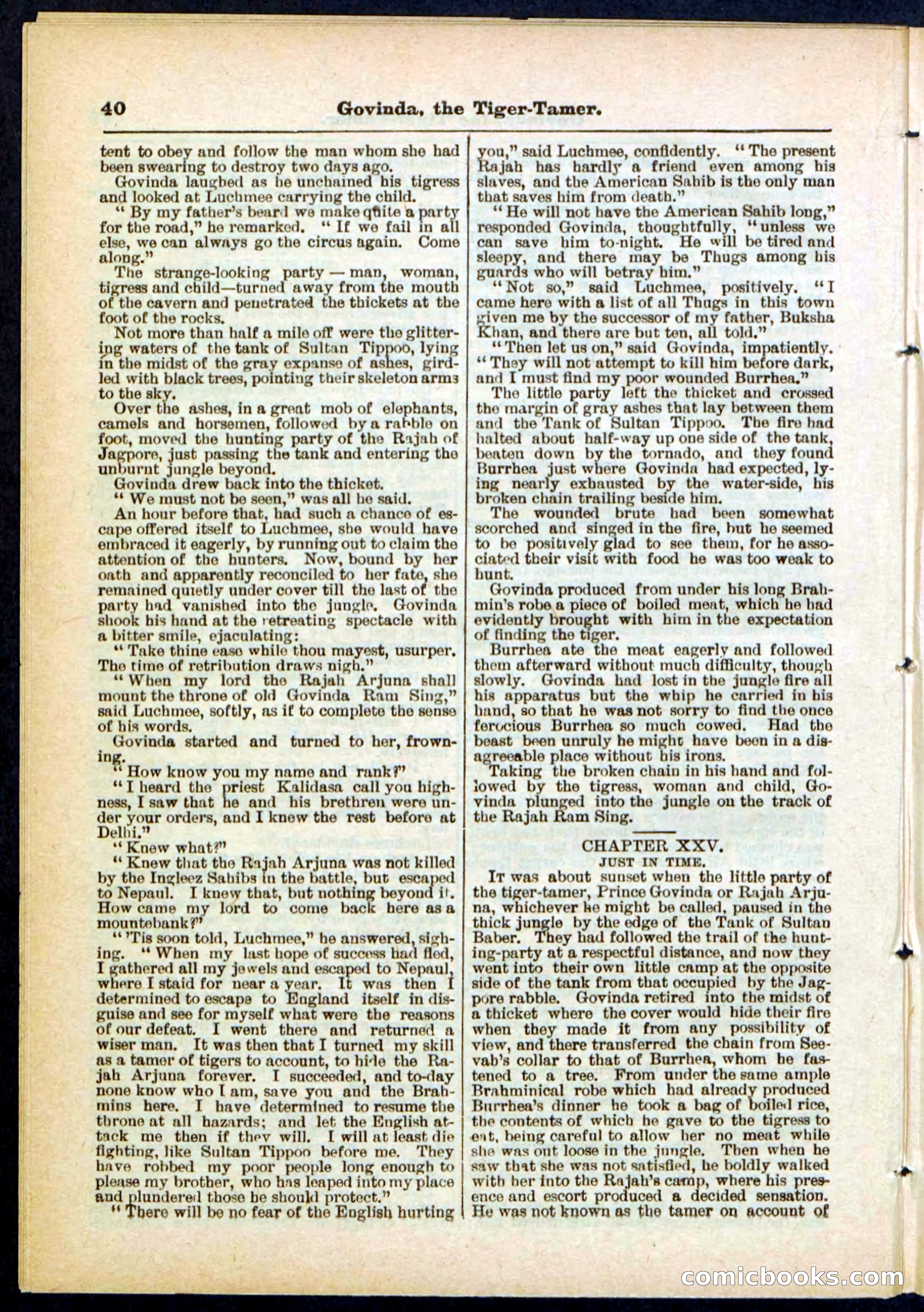 Beadle's Pocket Library No. 296 — page 40 of 48