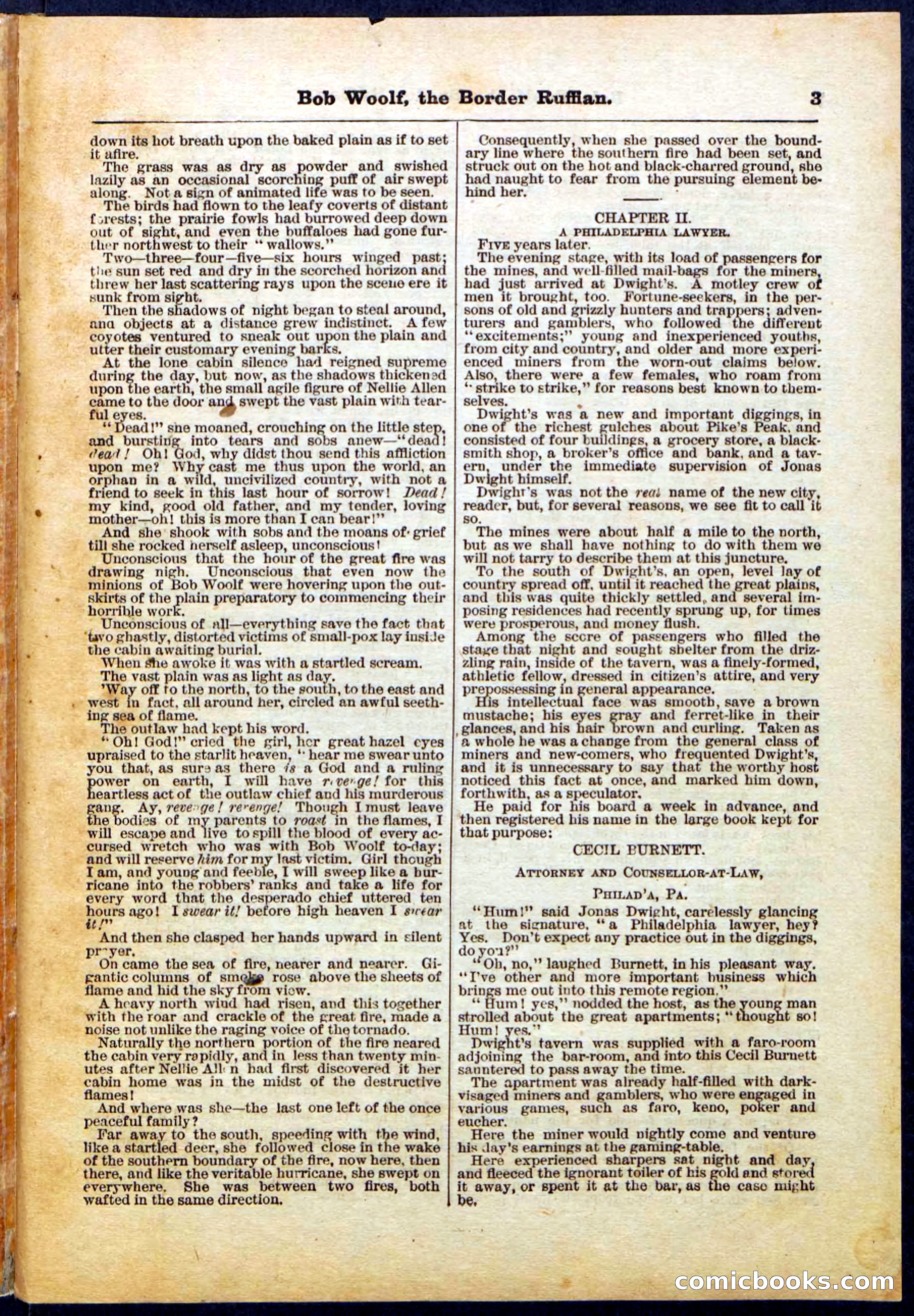 Beadle's Pocket Library, Vol. III, No. 30 — page 3 of 32