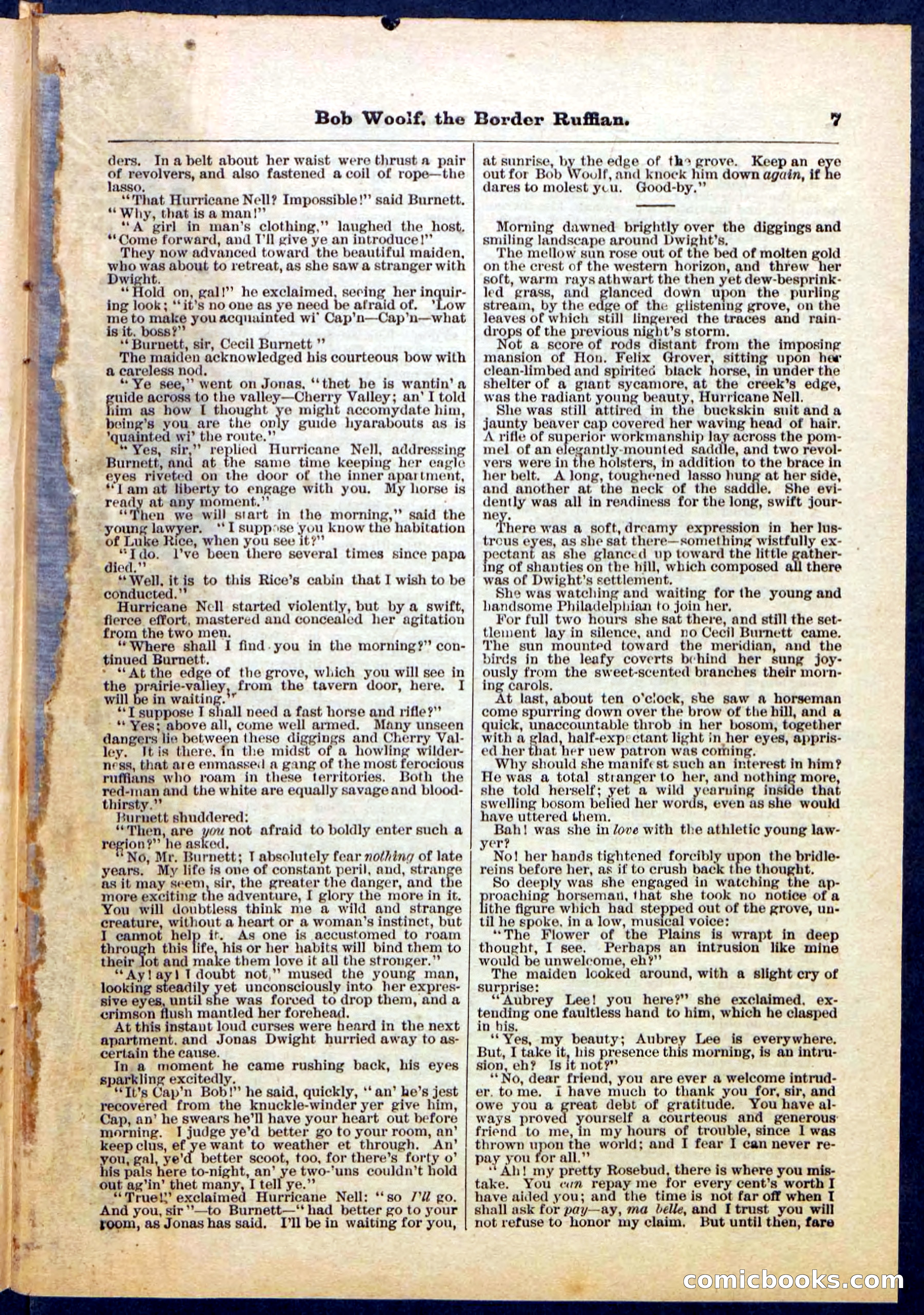 Beadle's Pocket Library, Vol. III, No. 30 — page 7 of 32