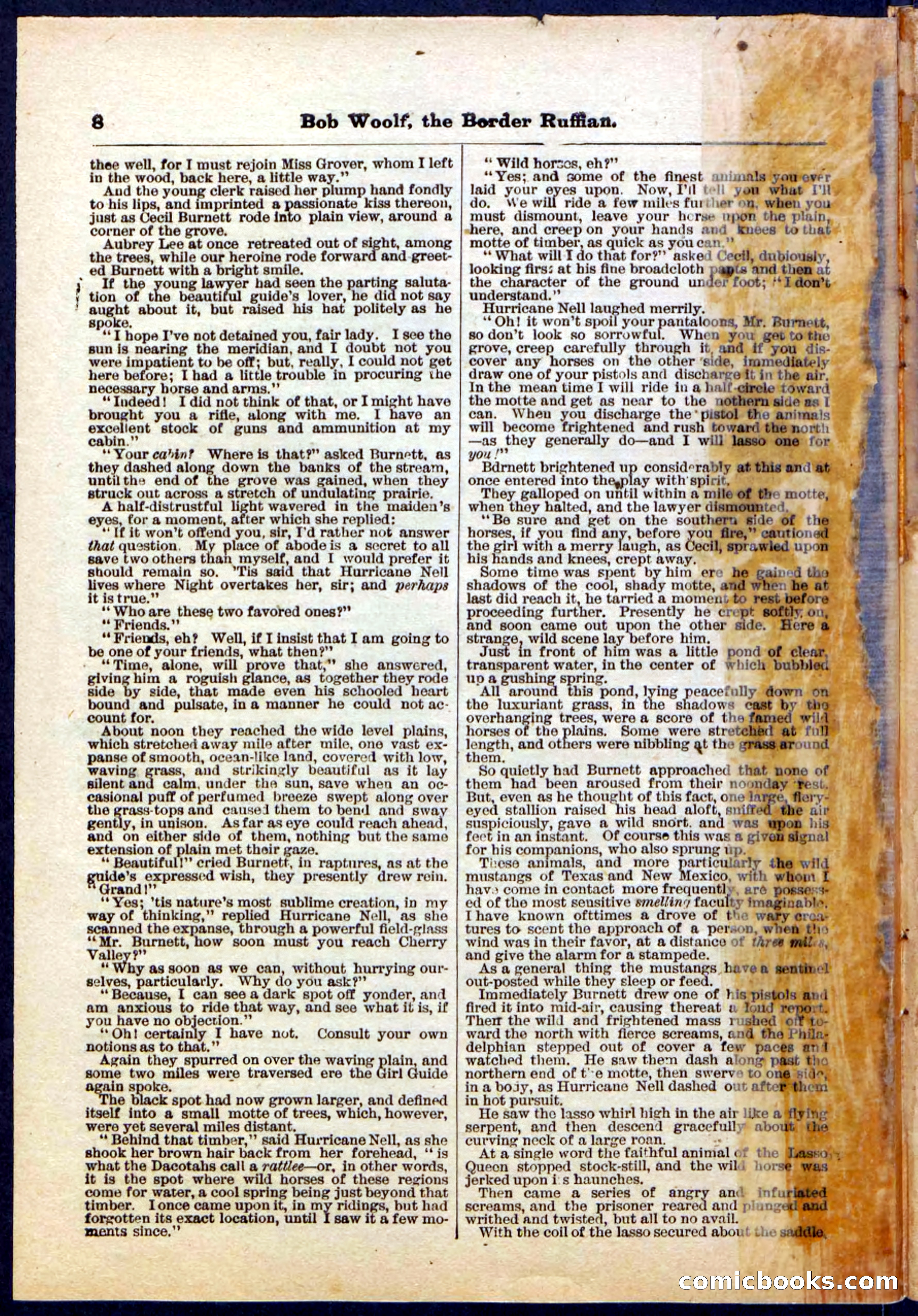 Beadle's Pocket Library, Vol. III, No. 30 — page 8 of 32