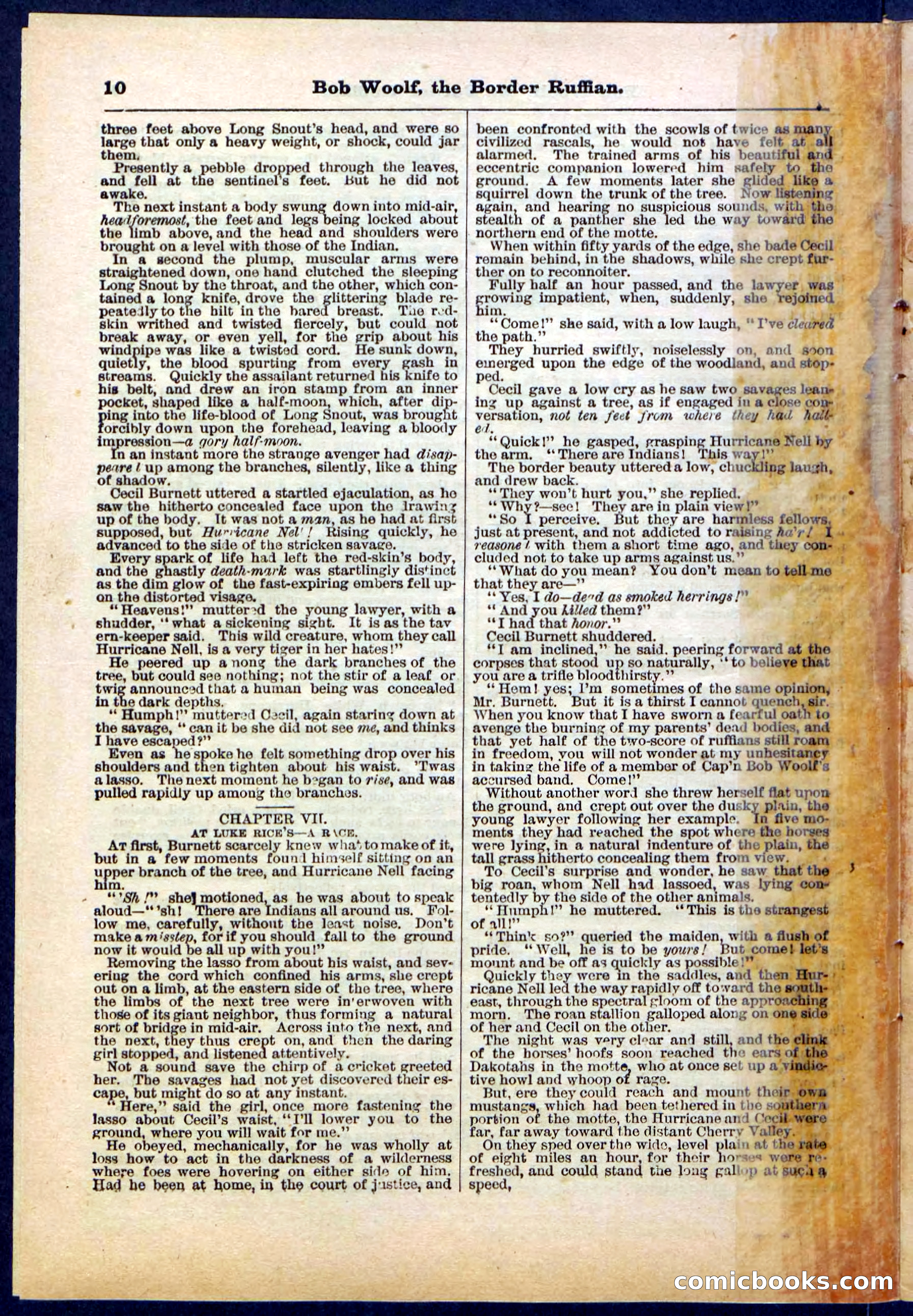 Beadle's Pocket Library, Vol. III, No. 30 — page 10 of 32