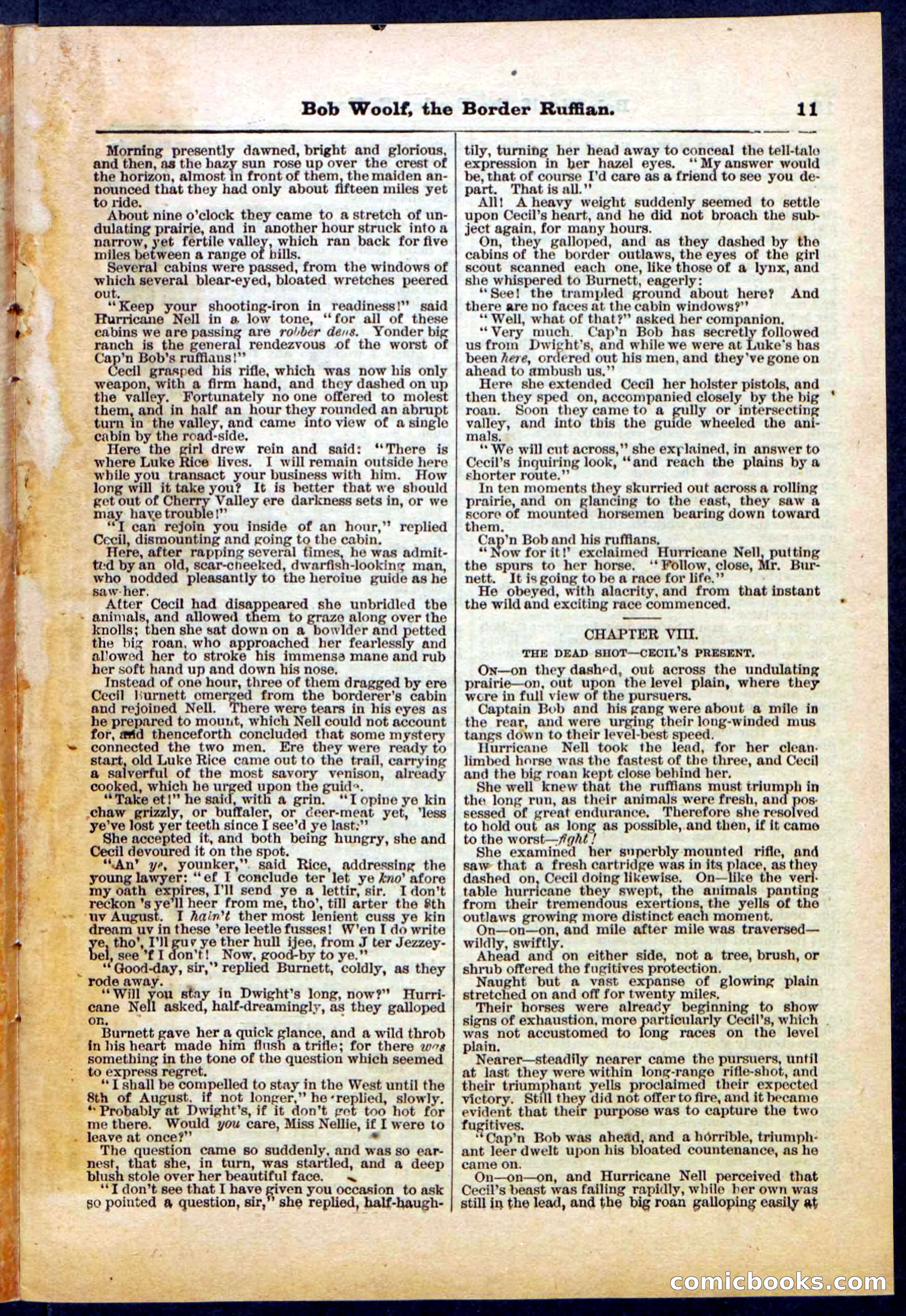 Beadle's Pocket Library, Vol. III, No. 30 — page 11 of 32
