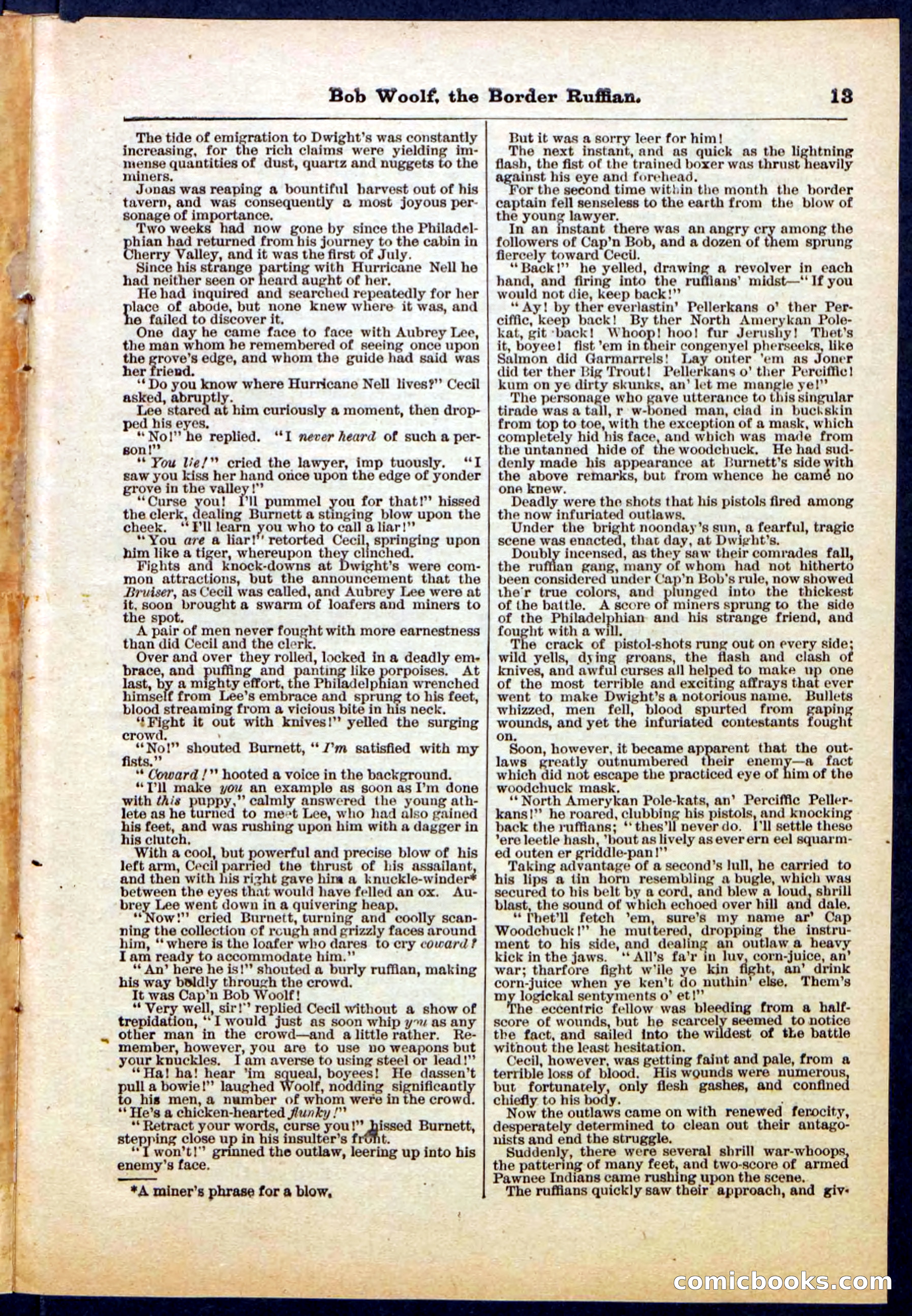 Beadle's Pocket Library, Vol. III, No. 30 — page 13 of 32