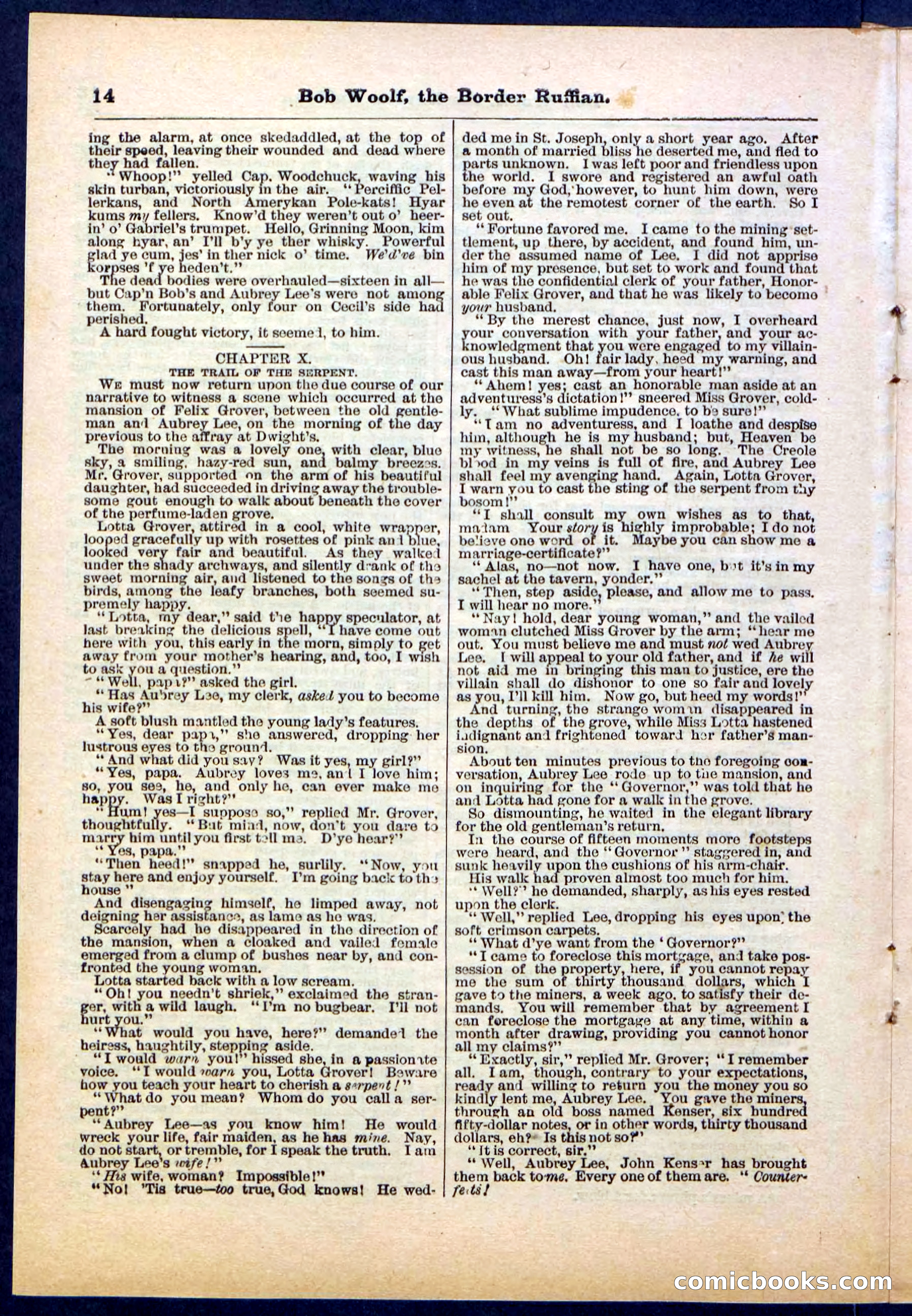 Beadle's Pocket Library, Vol. III, No. 30 — page 14 of 32