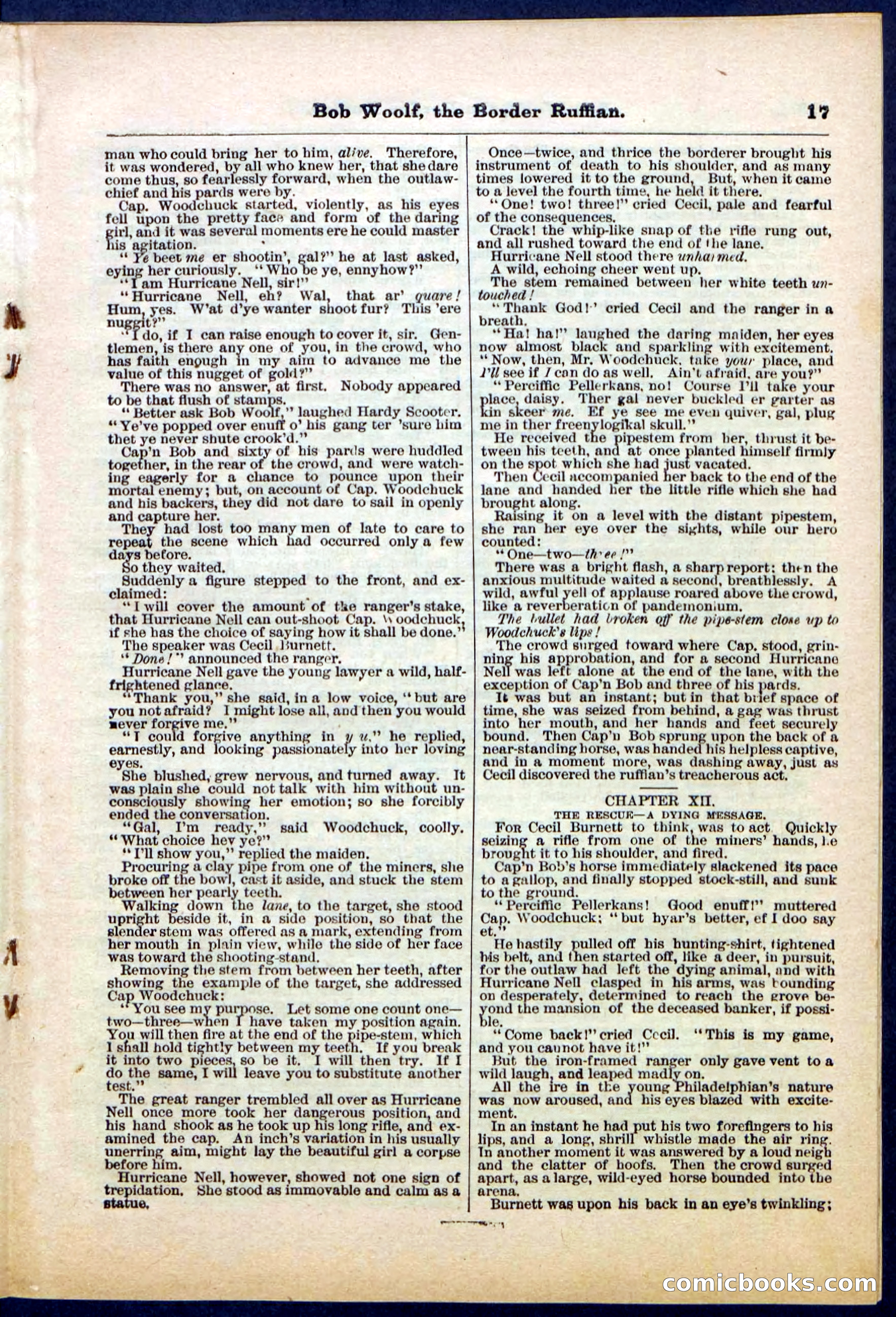 Beadle's Pocket Library, Vol. III, No. 30 — page 17 of 32