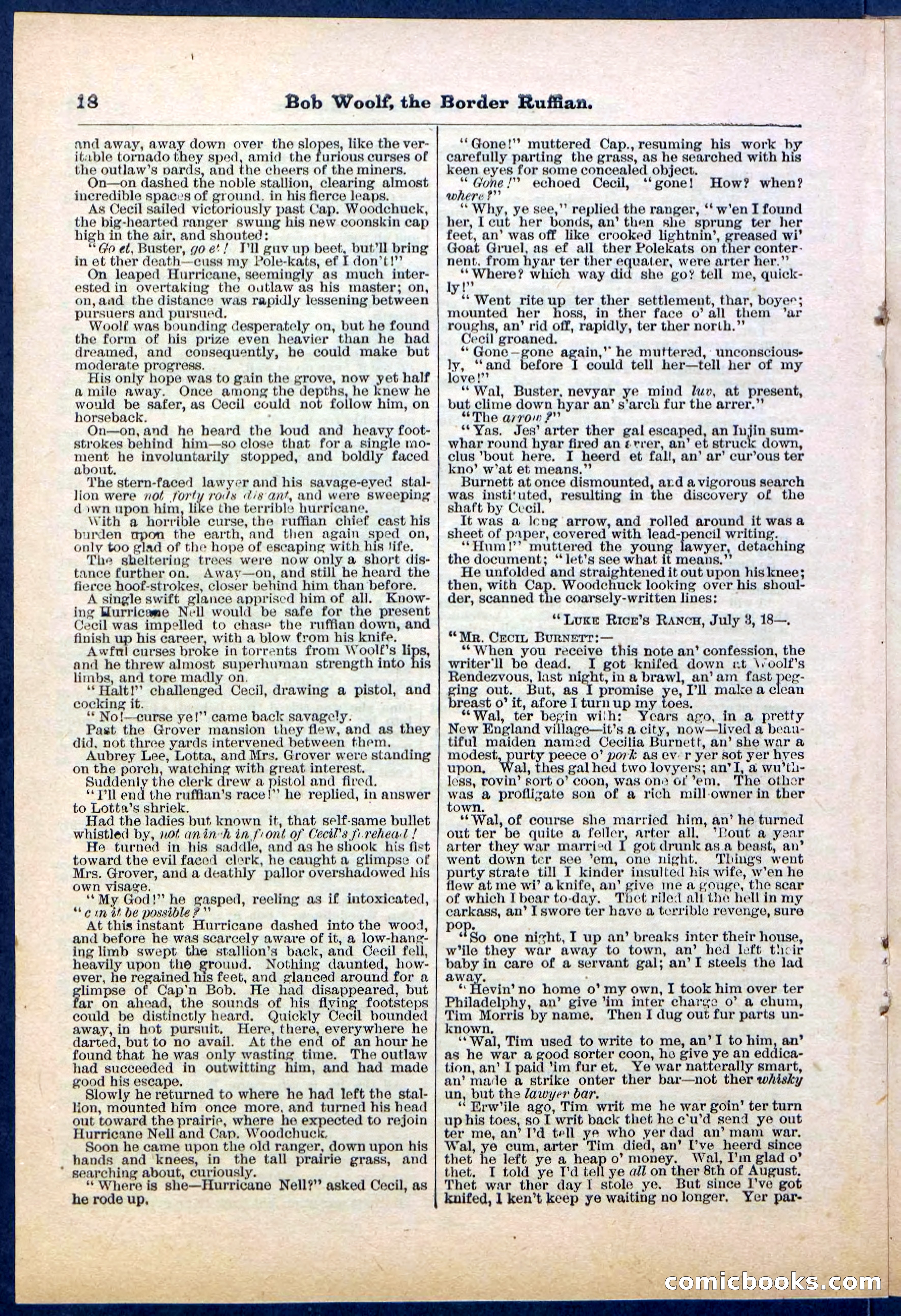 Beadle's Pocket Library, Vol. III, No. 30 — page 18 of 32
