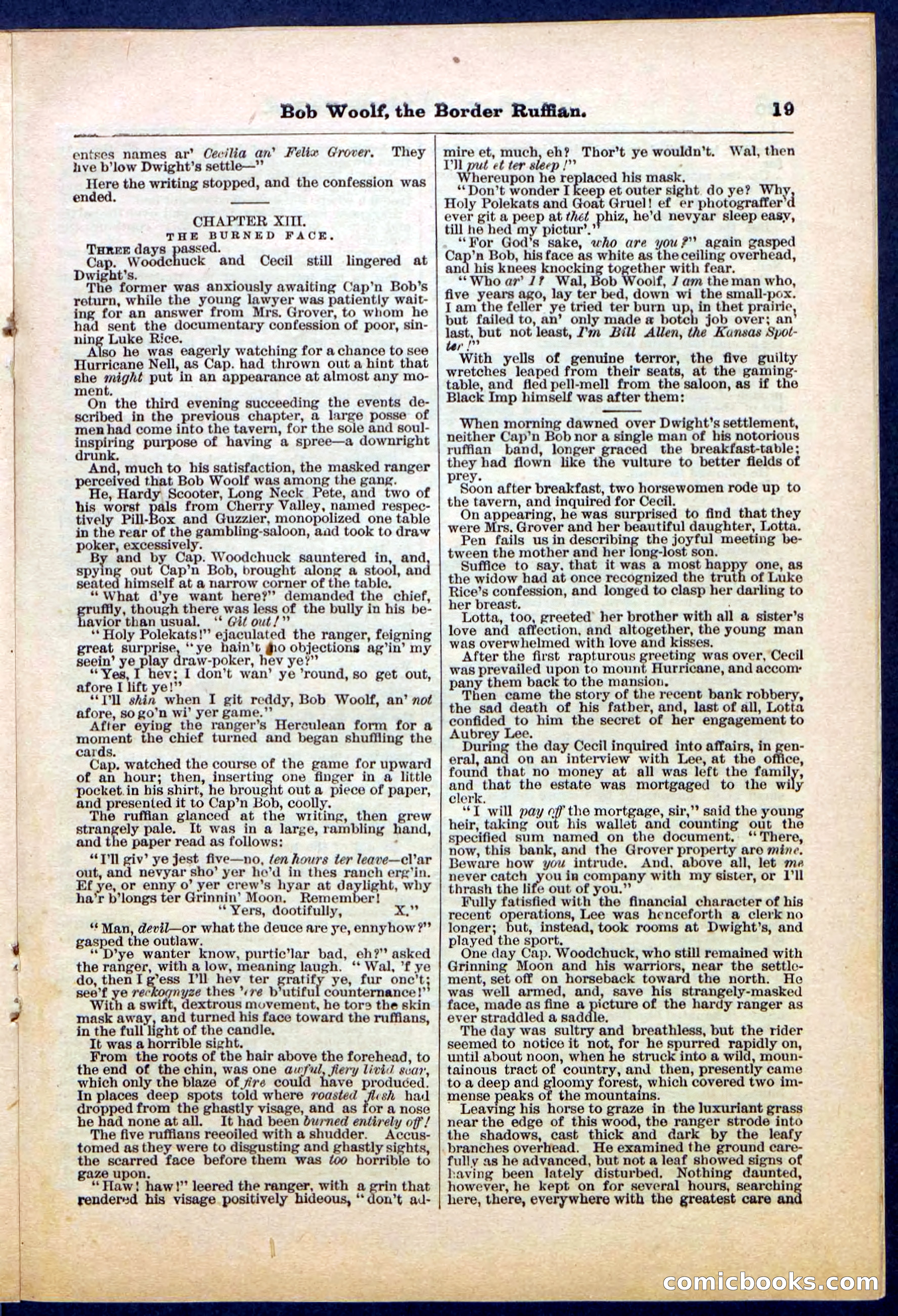 Beadle's Pocket Library, Vol. III, No. 30 — page 19 of 32