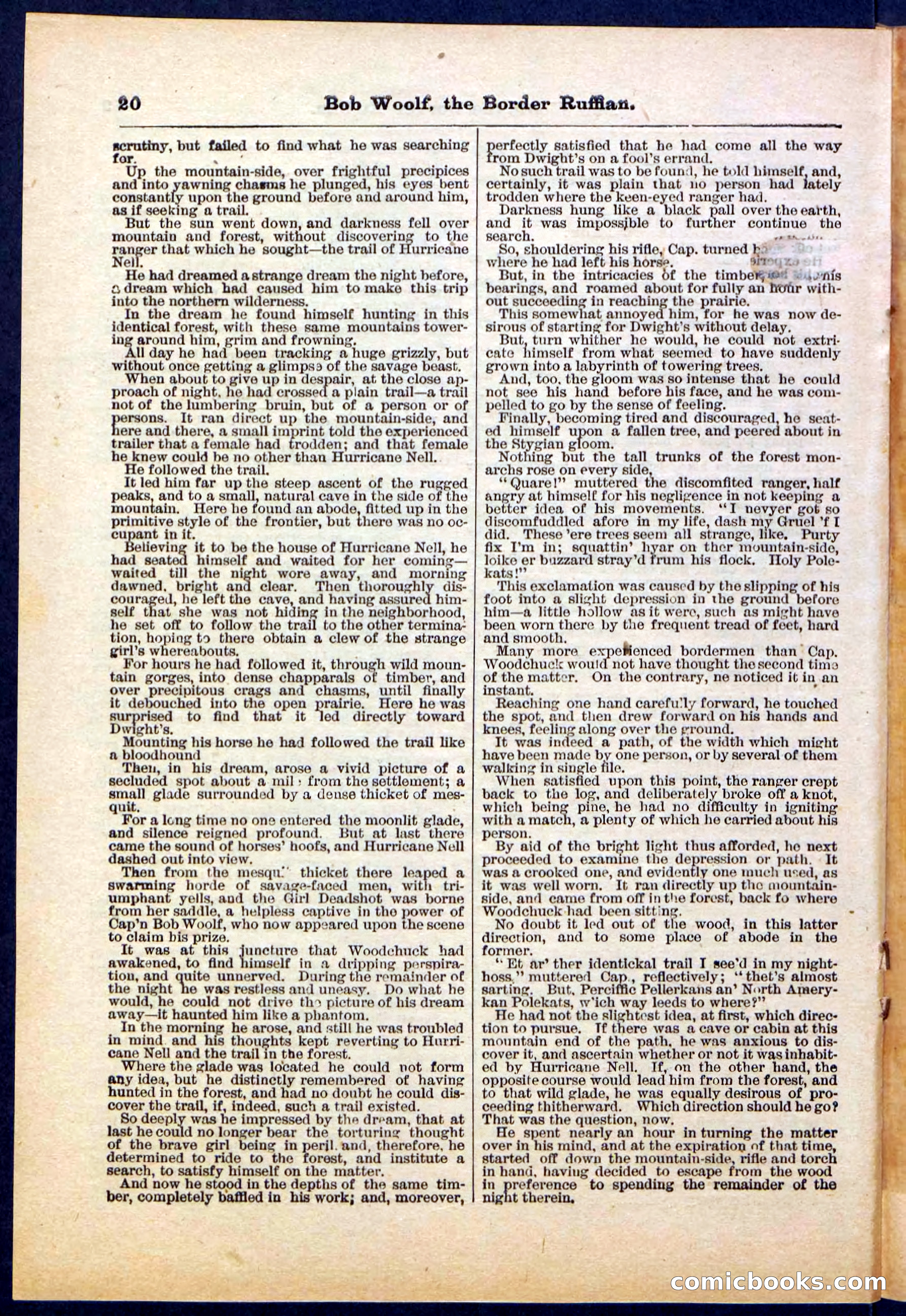 Beadle's Pocket Library, Vol. III, No. 30 — page 20 of 32