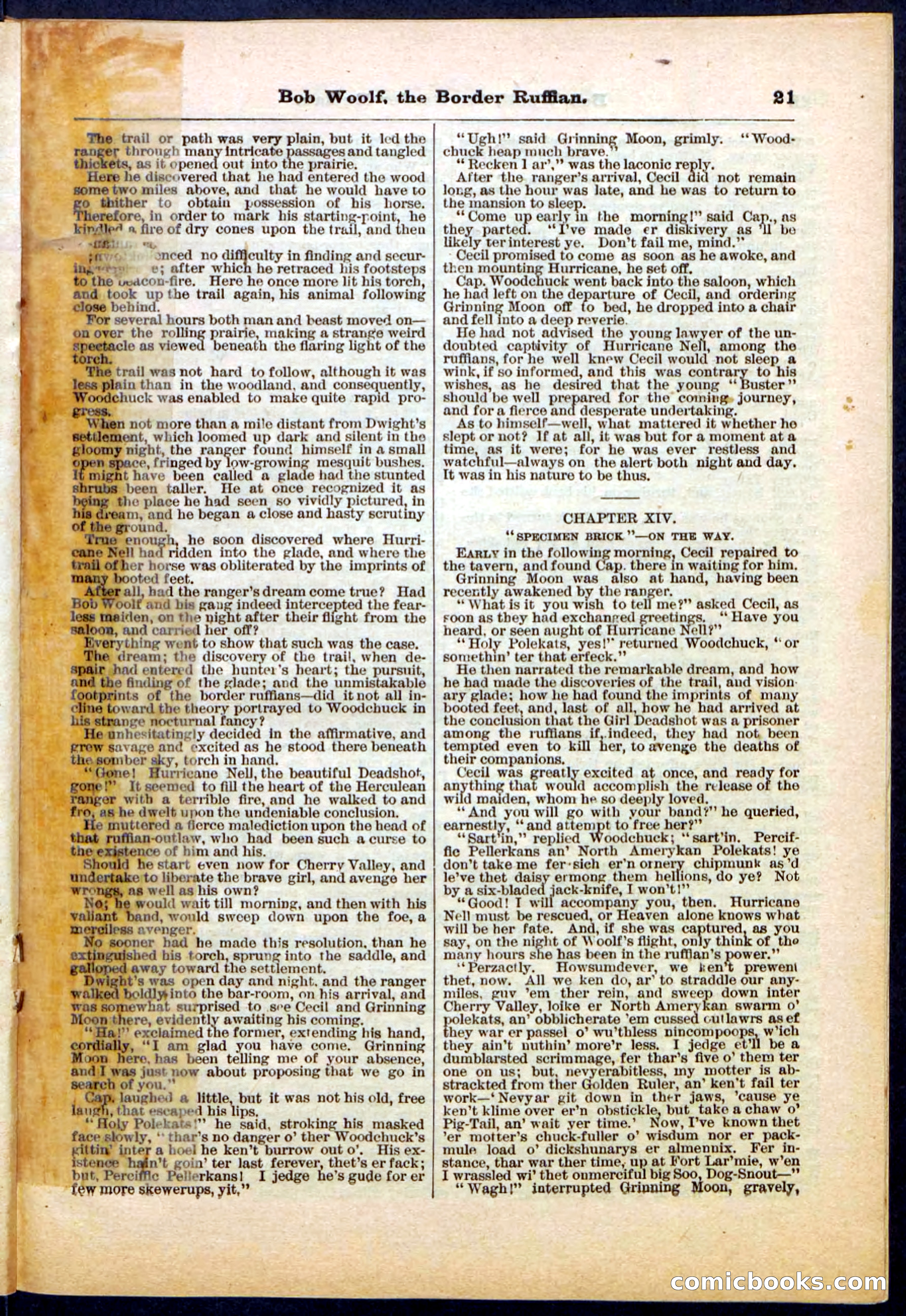Beadle's Pocket Library, Vol. III, No. 30 — page 21 of 32