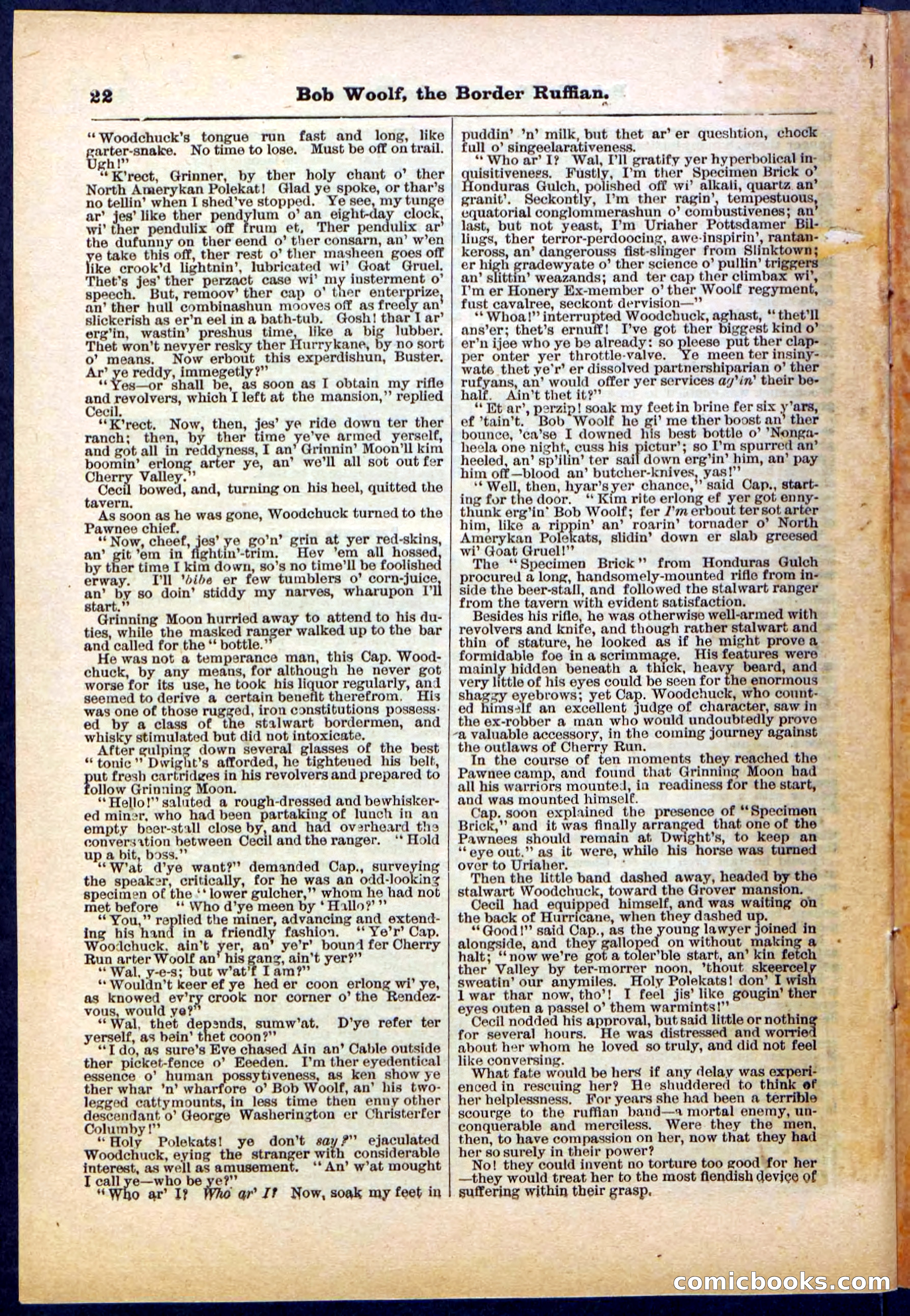 Beadle's Pocket Library, Vol. III, No. 30 — page 22 of 32